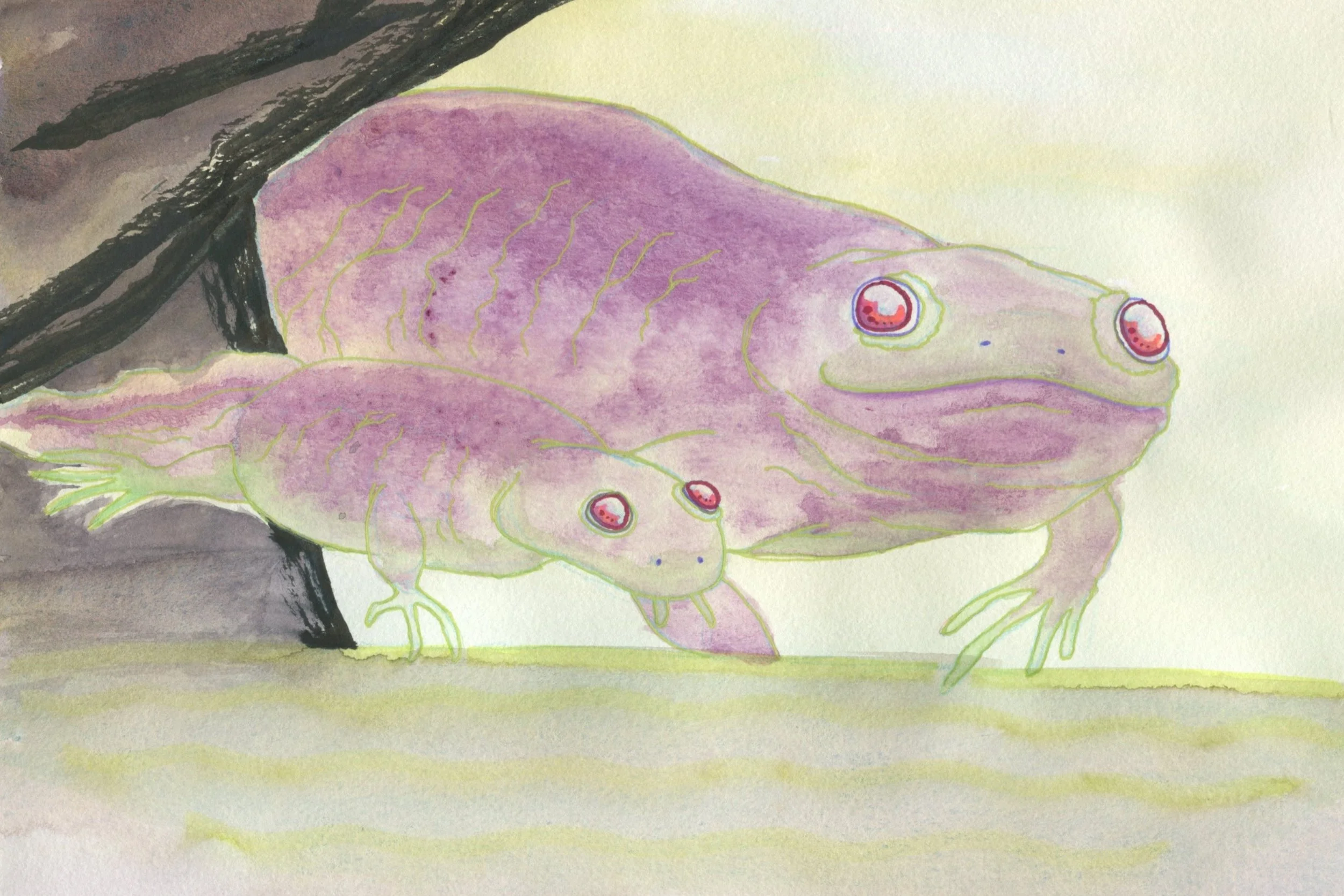 Newtz. Watercolour + gel pen