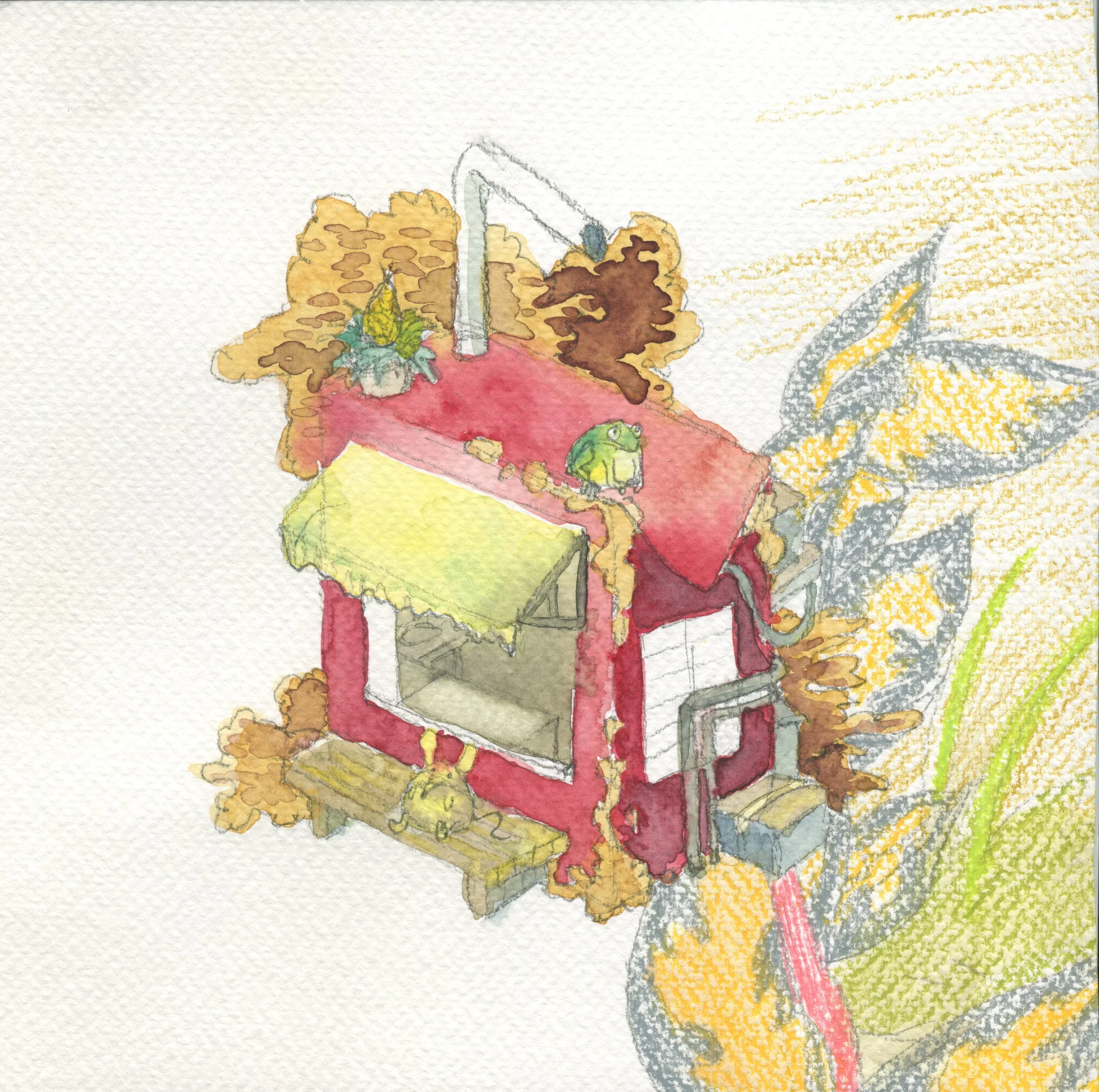 small watercolour sketch + smaller frog