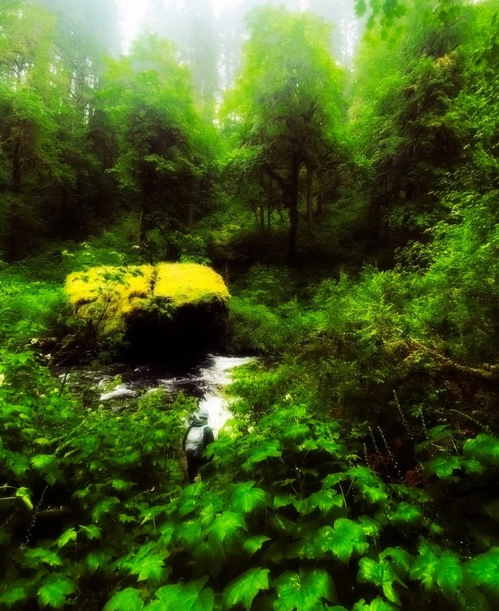 Screenshot 2024-11-25 at 4.13.12 PM.jpeg