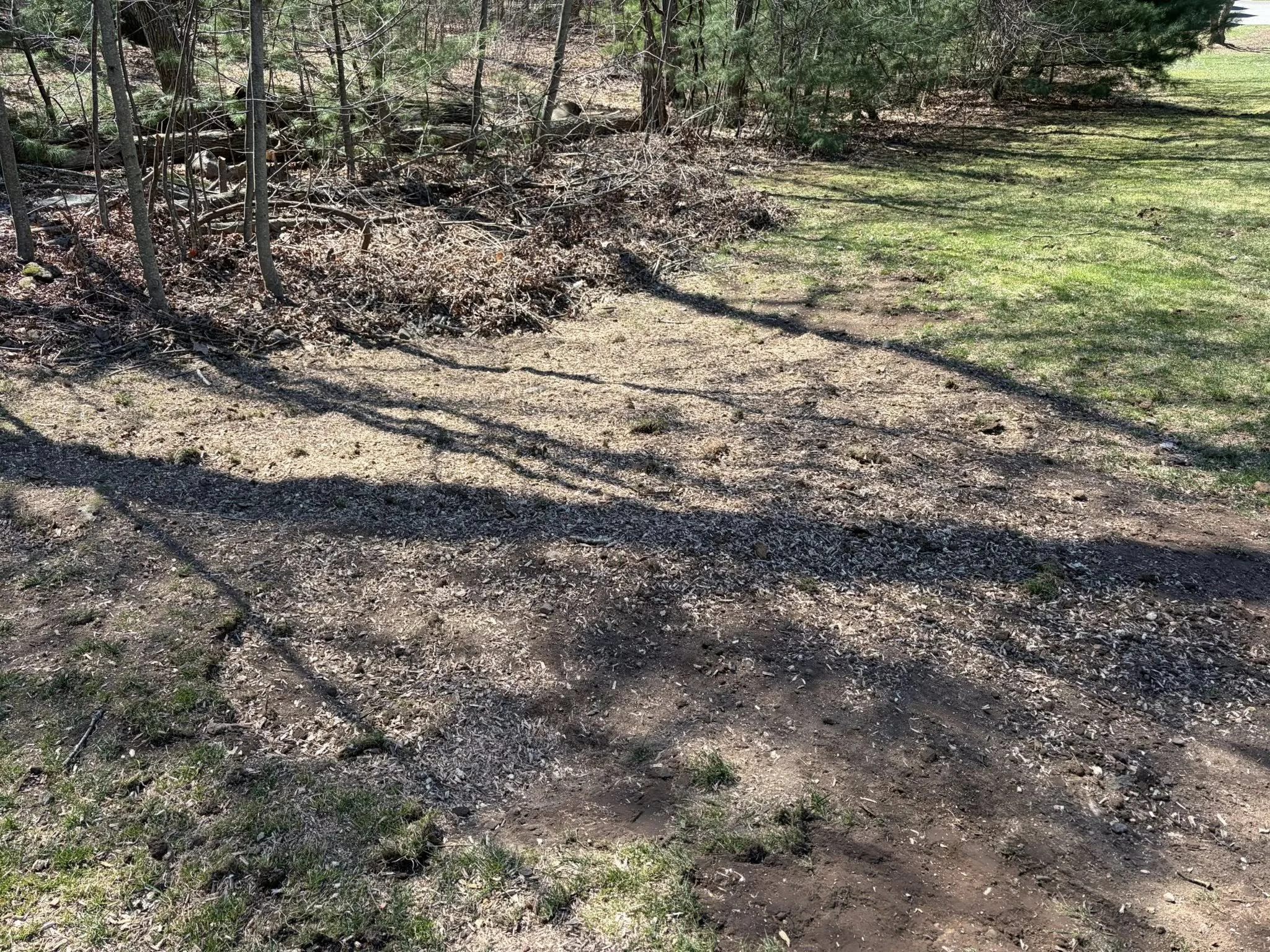 Tree Stump removal completed in Manchester CT by Hungry Beaver Stump Grinding