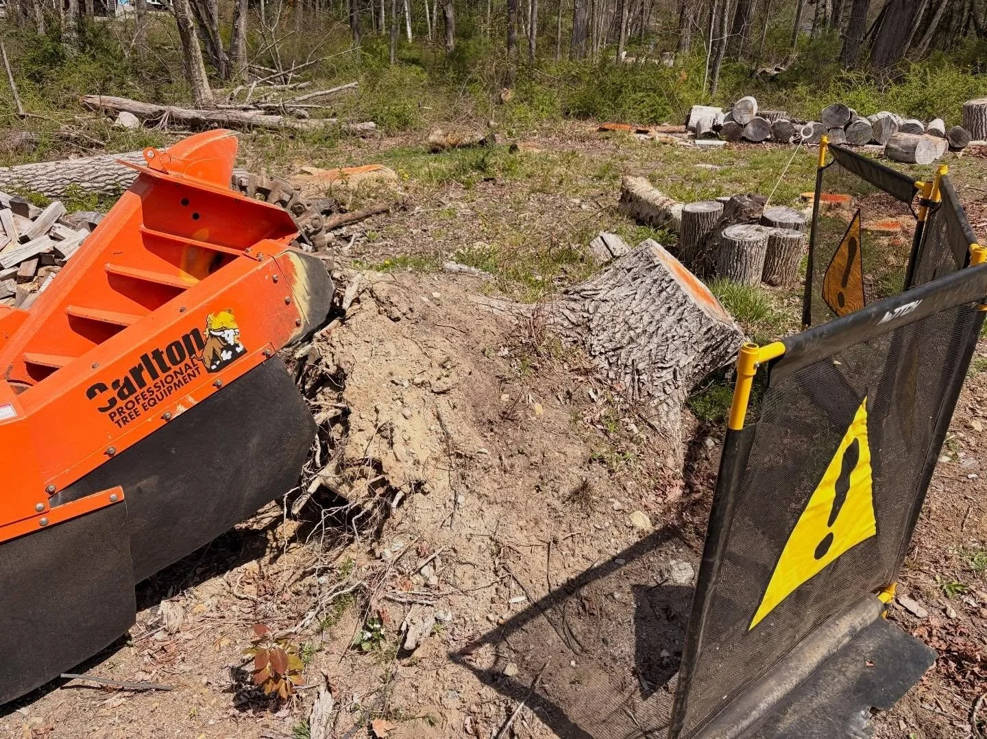 Blown Over Tree Stump grinding service in South Windsor CT by Hungry Beaver