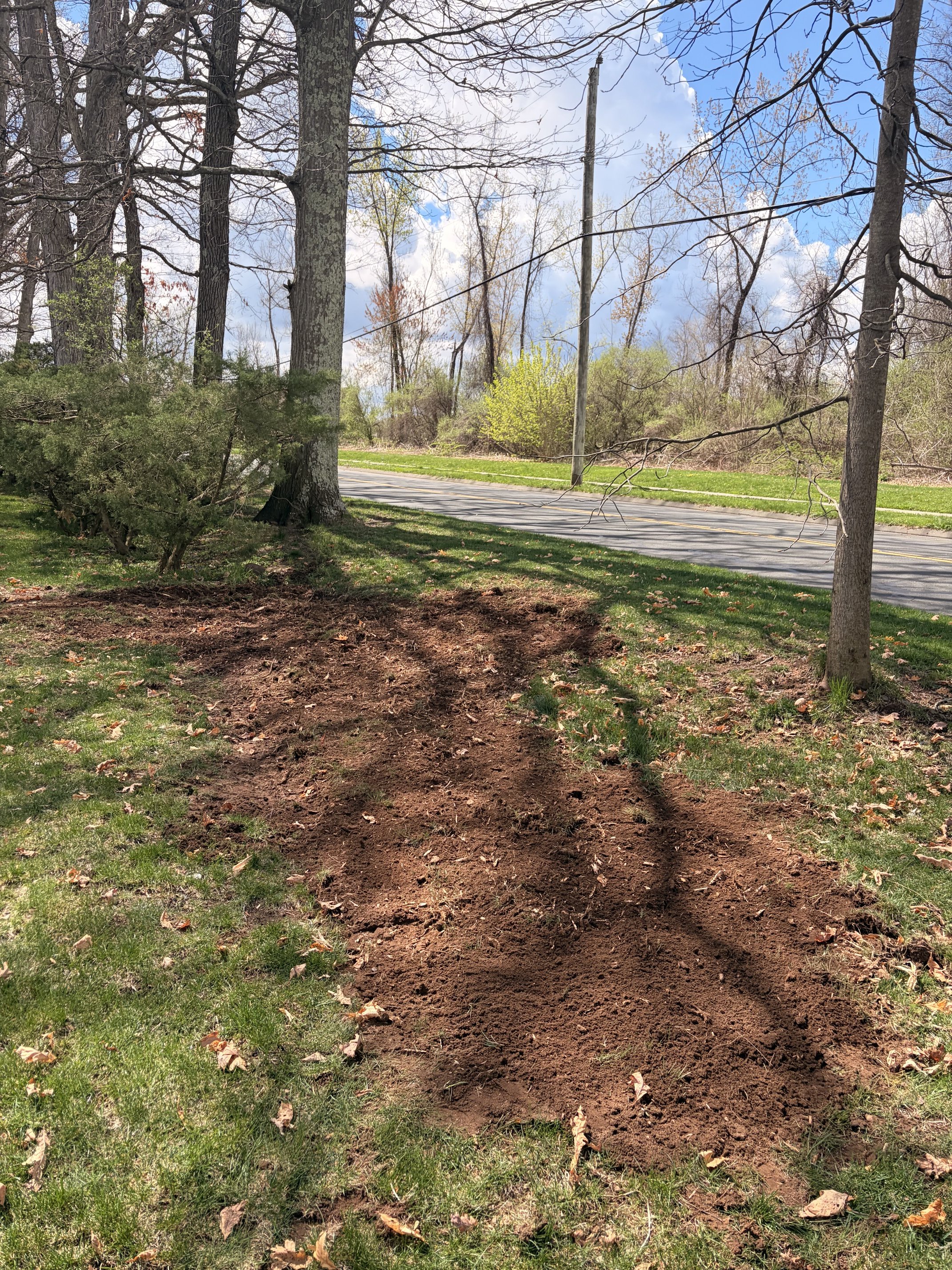 Yard cleared after stump grinding in Glastonbury CT