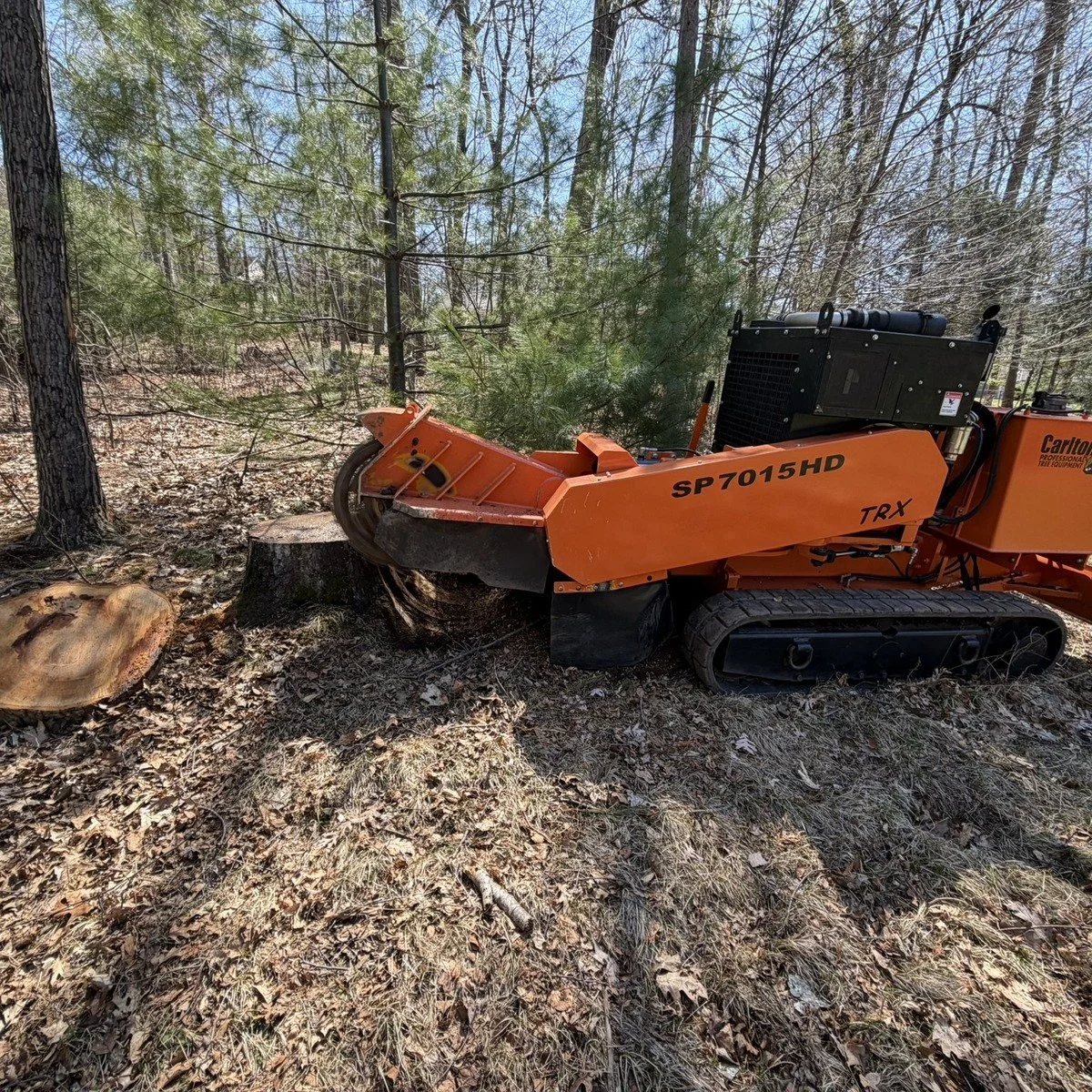 Carlton track tree grinder removing stump in Enfield CT