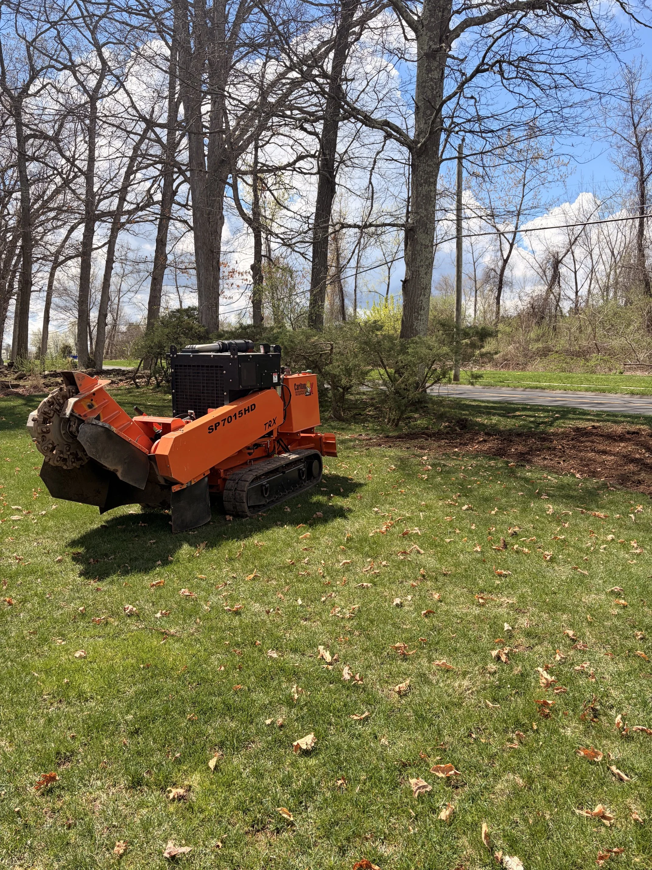 Granby Hungry Beaver Tree Stump Grinding