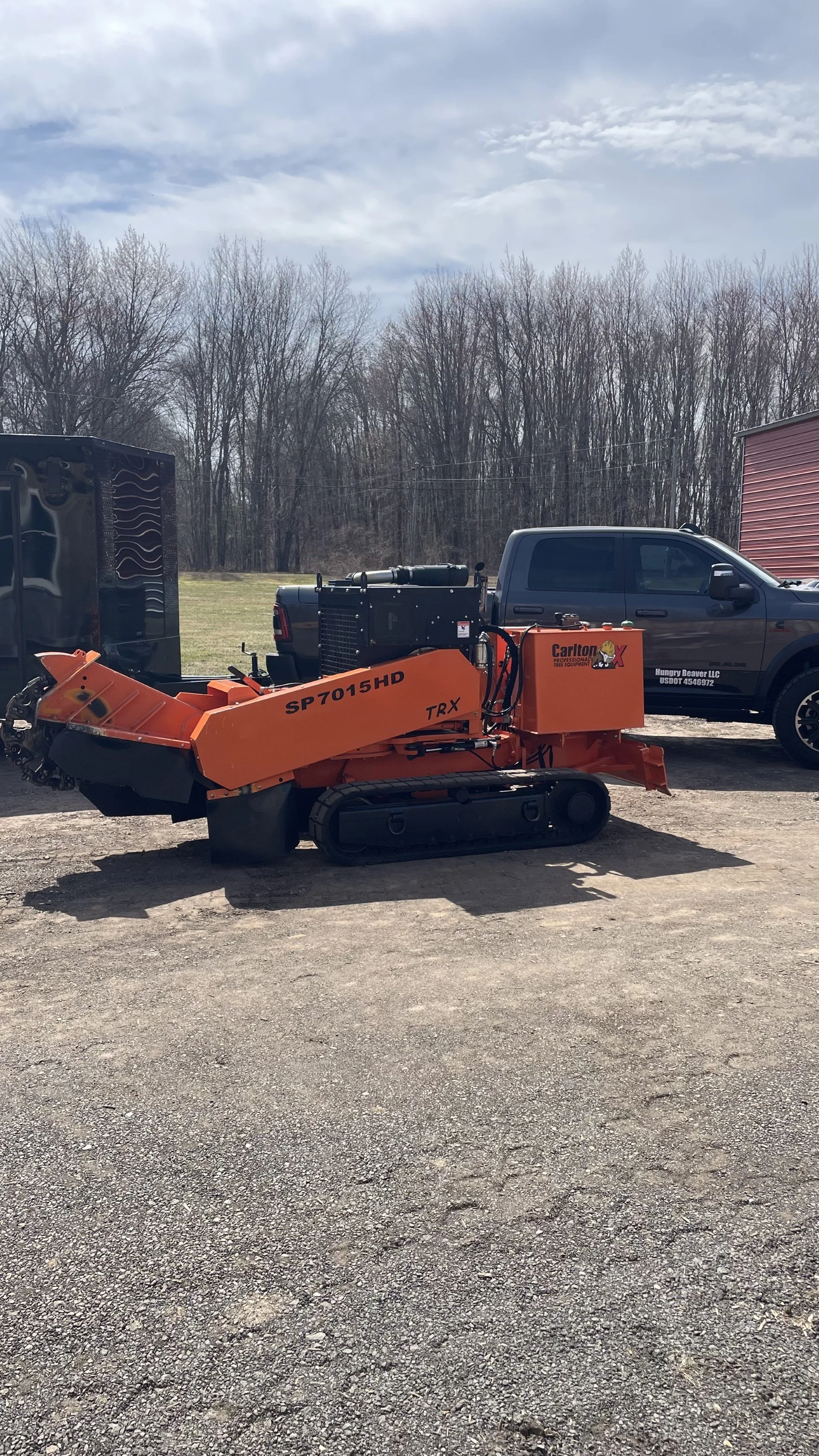 Stump grinding service in Hartford CT by Hungry Beaver