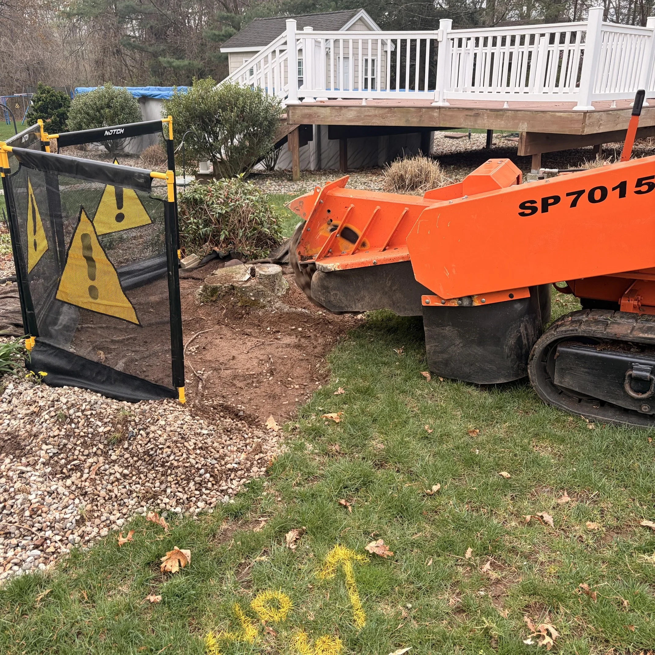 Hungry Beaver Stump Grinding removing stump in Vernon CT