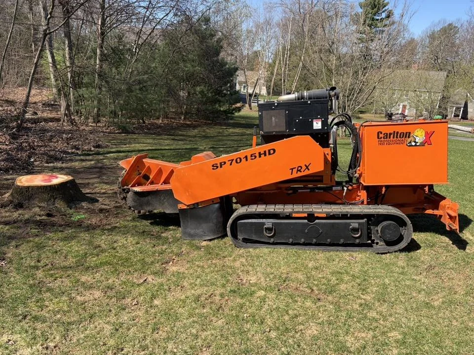 Carlton SP7015HD stump grinder at work in Manchester CT