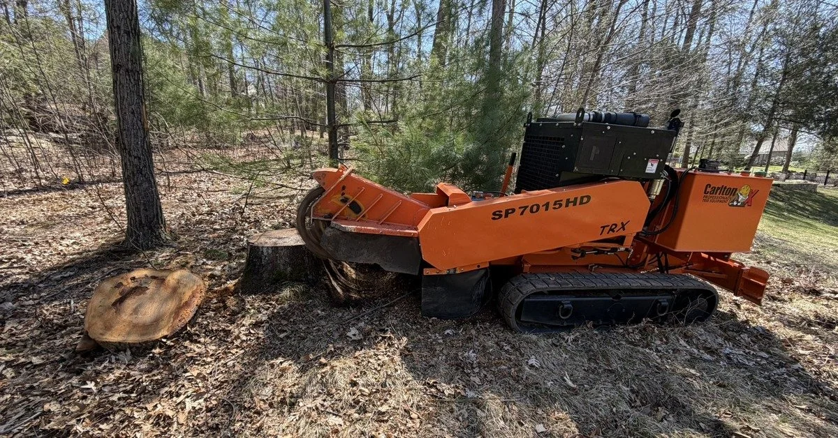 Grinding Tree Stump Suffield CT