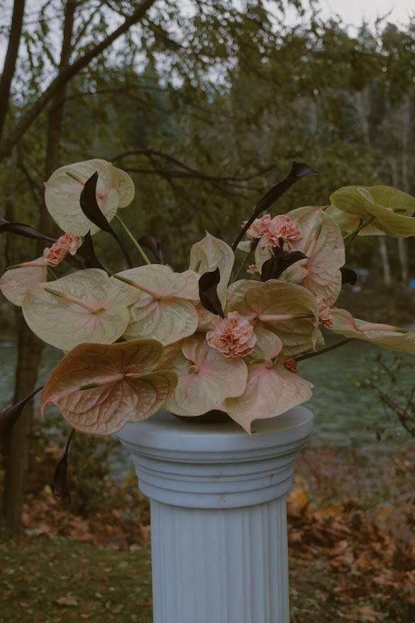 Entrance Arrangement $300