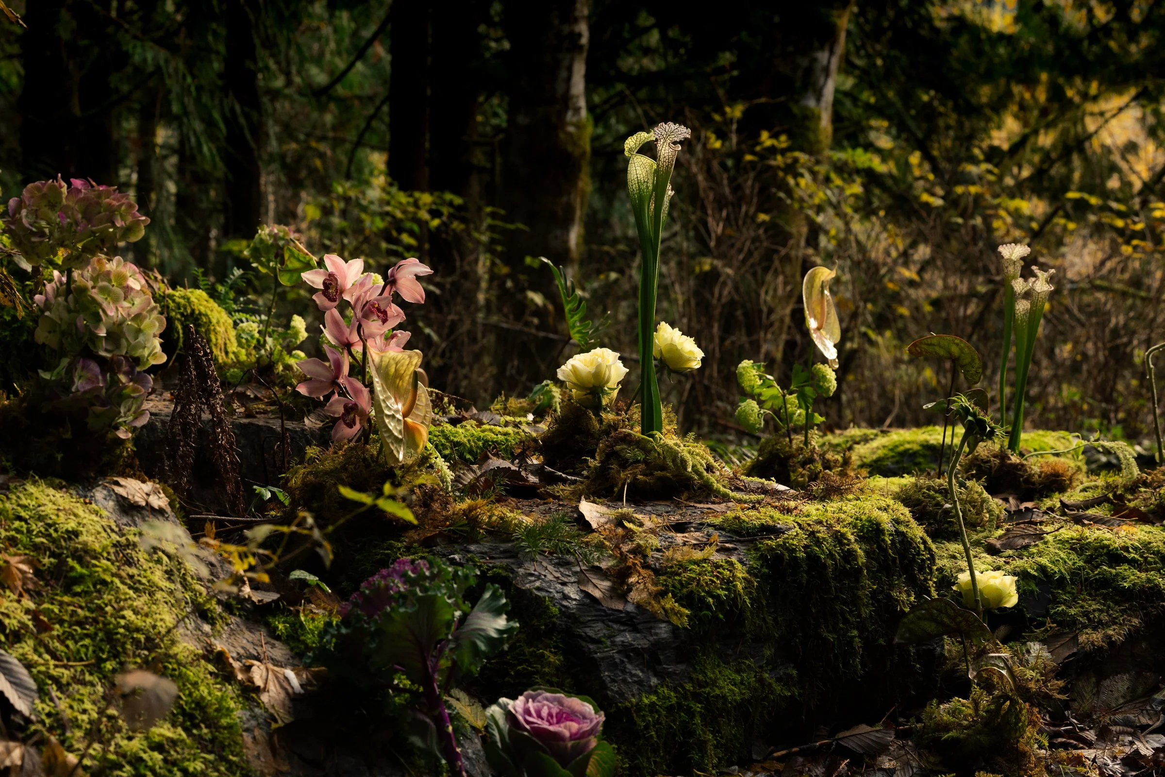 ceremony space with flowers growing out of rocks, a whimsical and natural altar arrangement