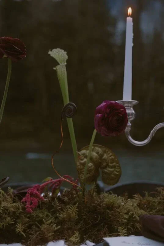 Cocktail Budvases $30