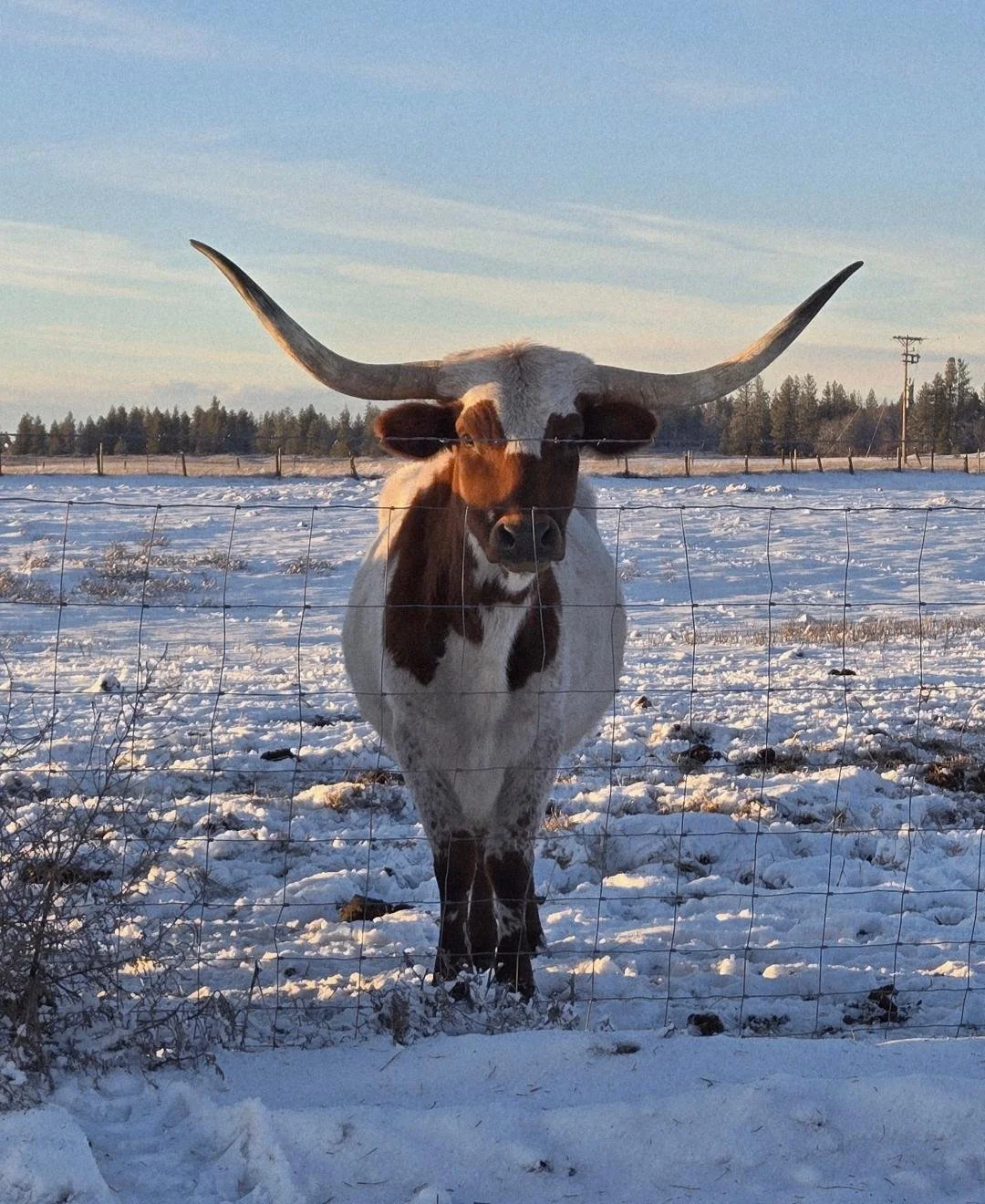 Shots from around the Farm