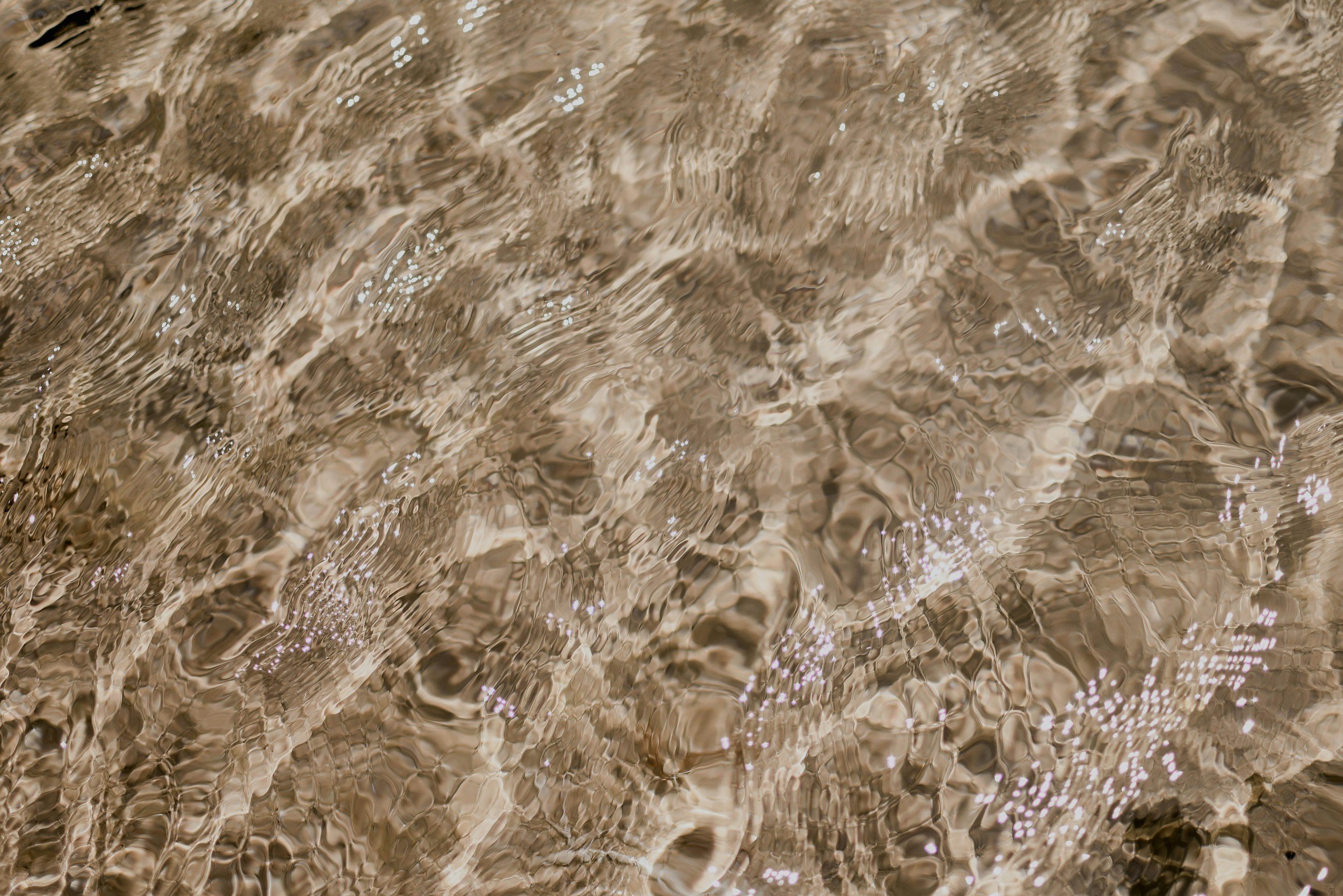 Close-up of water ripples and reflections on the surface of a body of water.