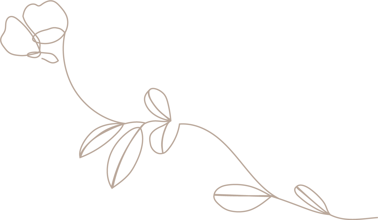 Line drawing of a rose flower and leaves on a black background.