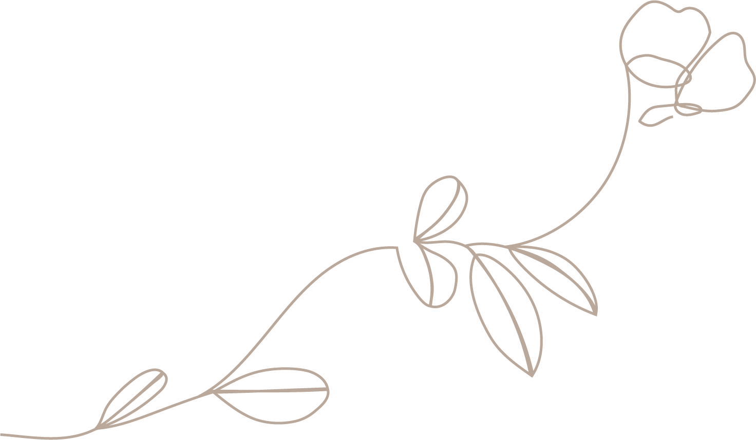 A minimalist line drawing of a flower with leaves on a black background.