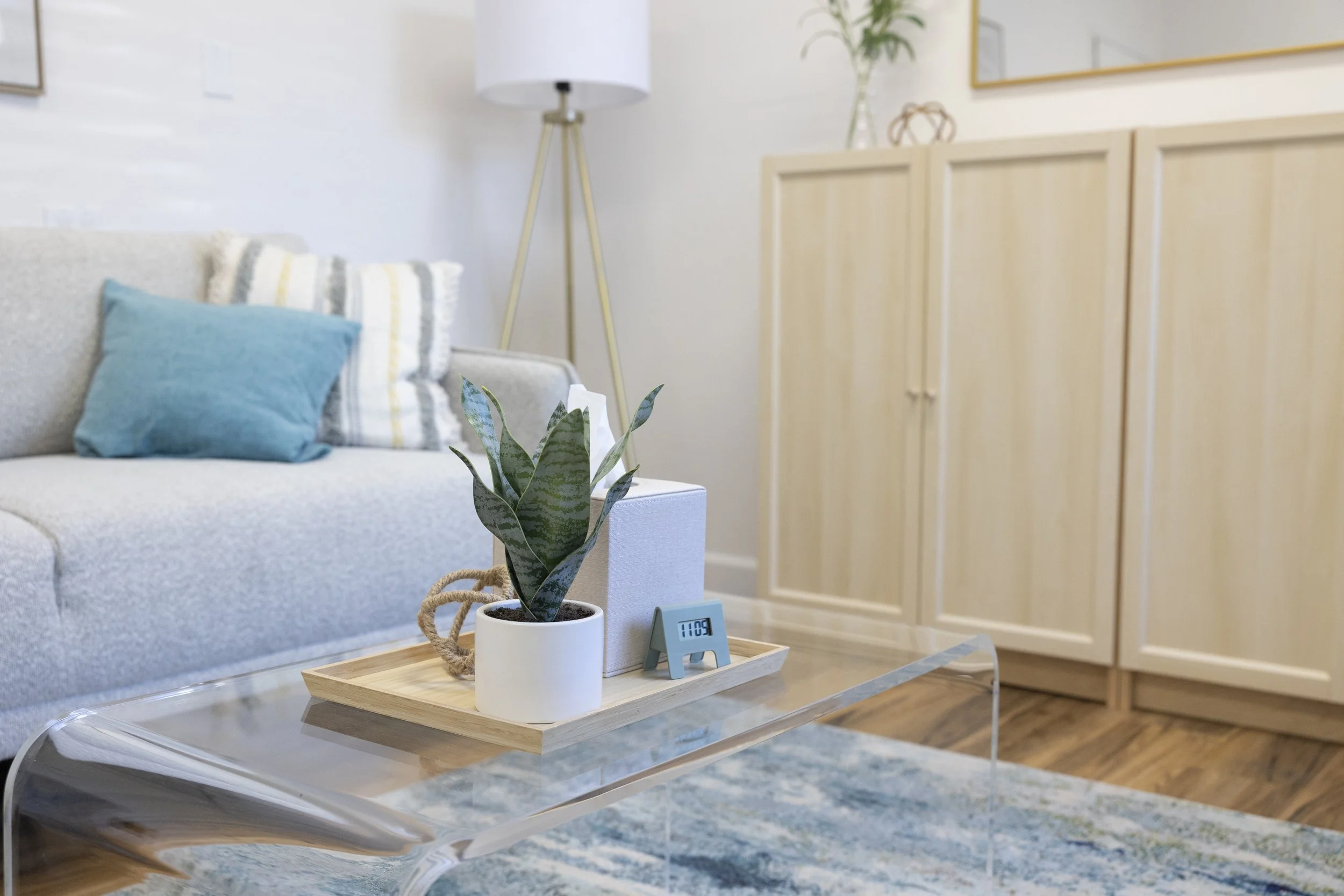 Living room with a gray sofa adorned with blue and striped pillows, a wooden coffee table, and a houseplant in a white pot. Behind the sofa, a off-white cabinet and a tall white floor lamp are visible. The room has a modern, minimalist style with light-colored walls.