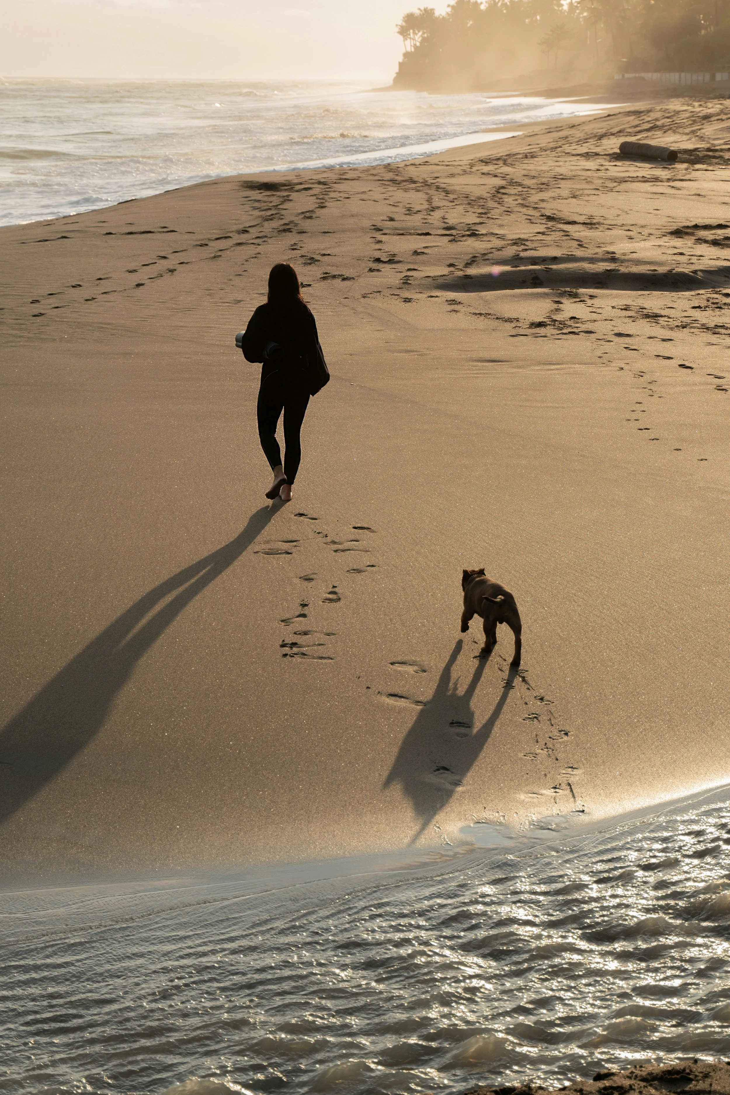 A person and a dog walking on a sandy beach during sunset, with footprints in the sand and ocean waves in the foreground.