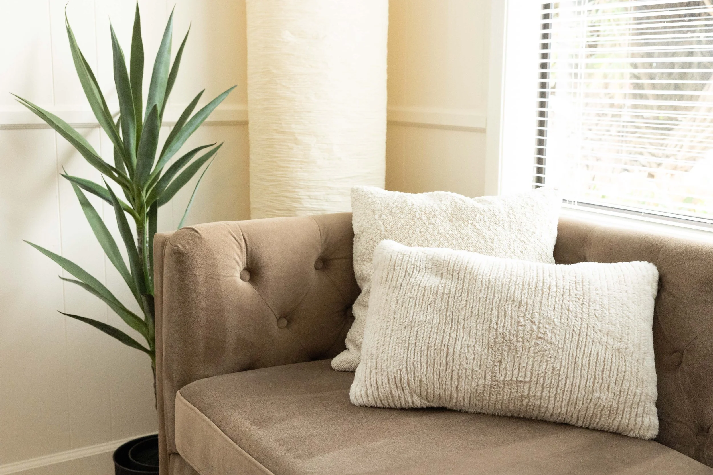 A beige tufted sofa with two textured cream-colored pillows in front of large windows with blinds, a tall potted plant with long green leaves beside the sofa, and a tall white floor lamp with a cylindrical shade behind the sofa.