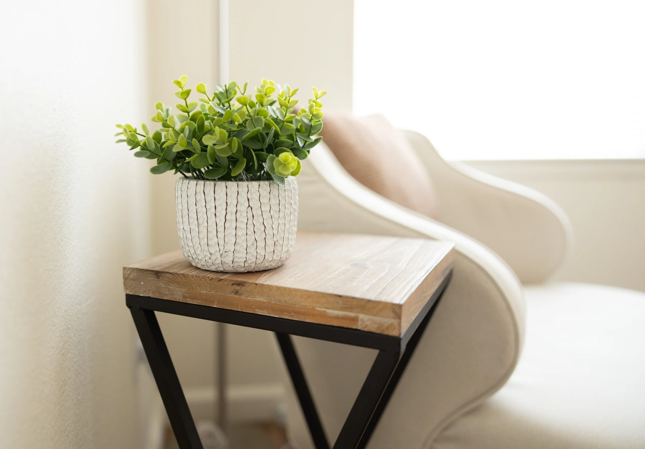 A white textured ceramic pot with a green leafy plant sitting on a wooden table with black metal legs, placed near a window with sunlight.