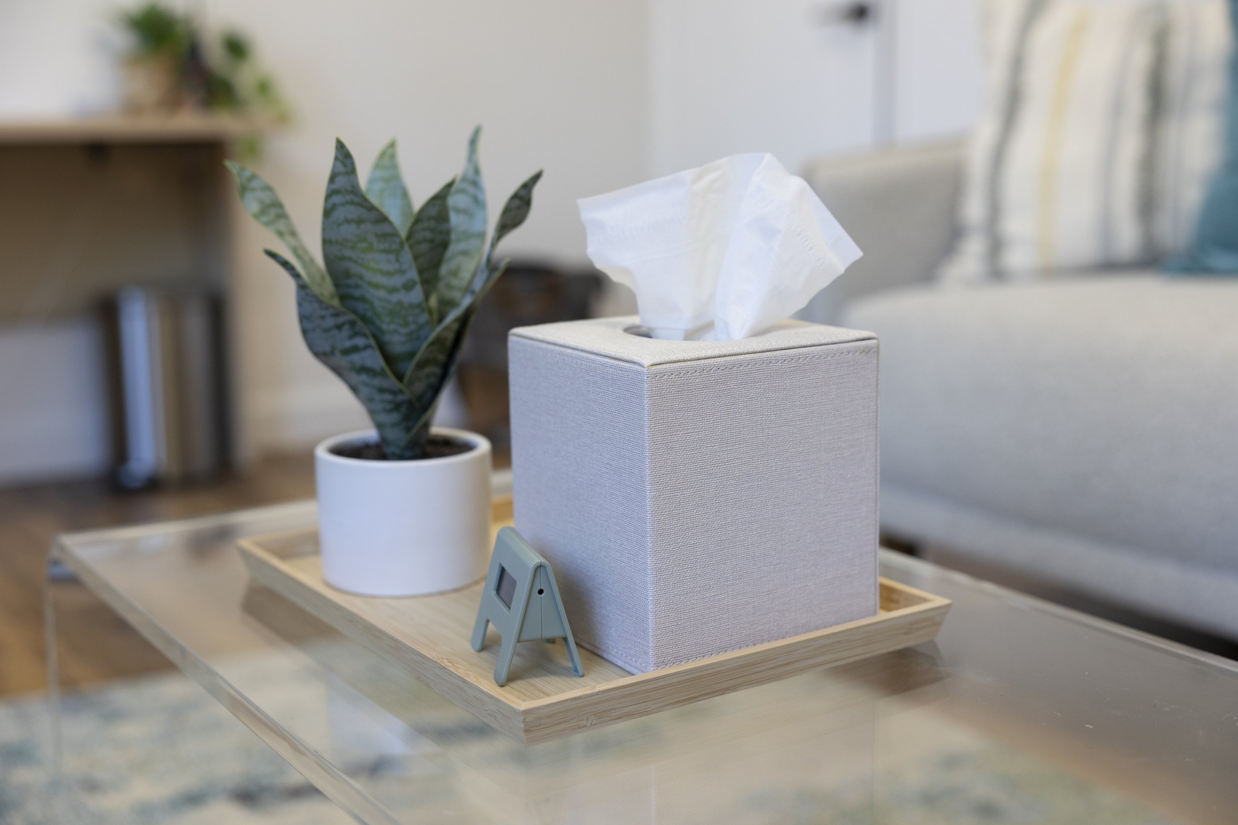 A tissue box on a wooden table next to a potted snake plant and a small framed picture in a room with a blurred background.
