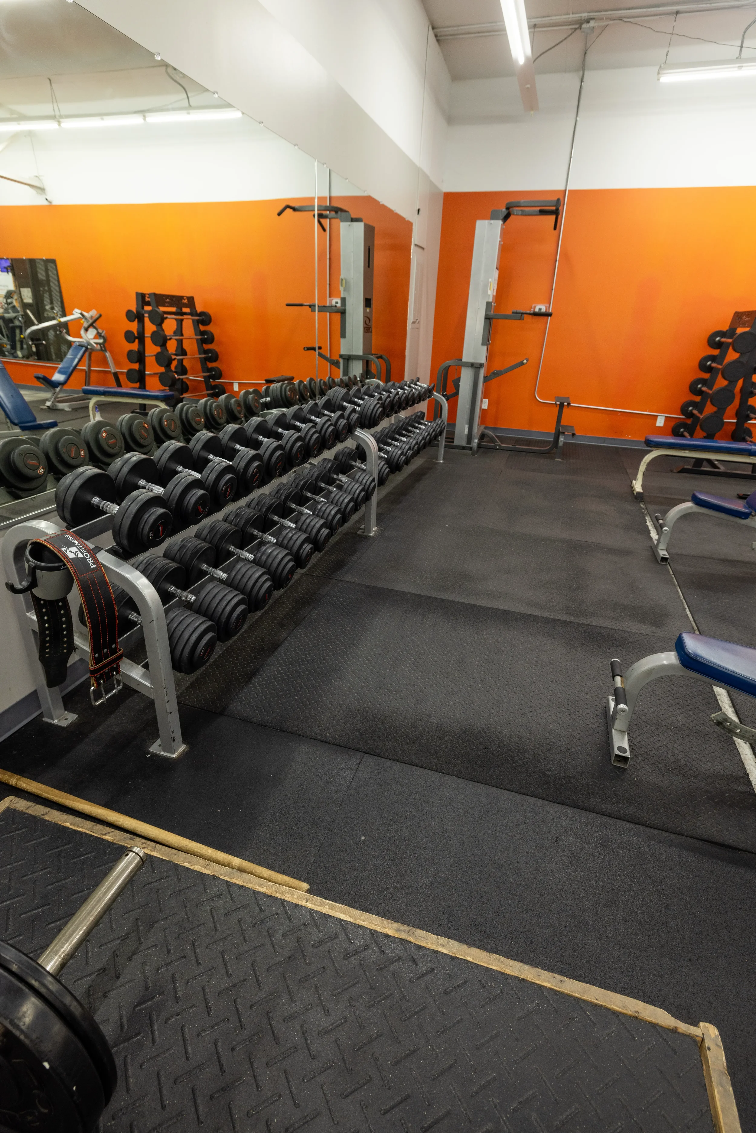 283A4693.webp
