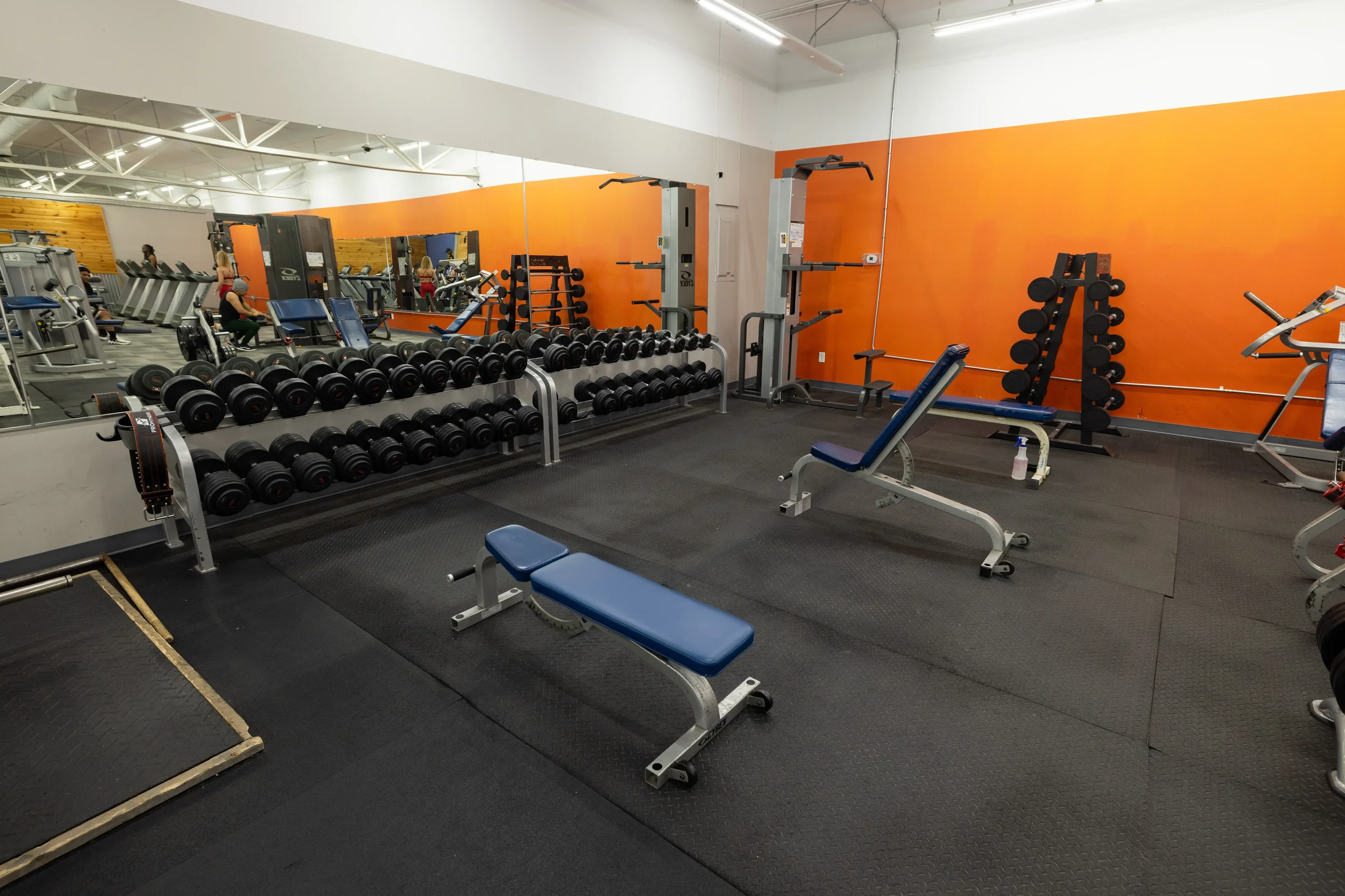 283A4691(1).webp