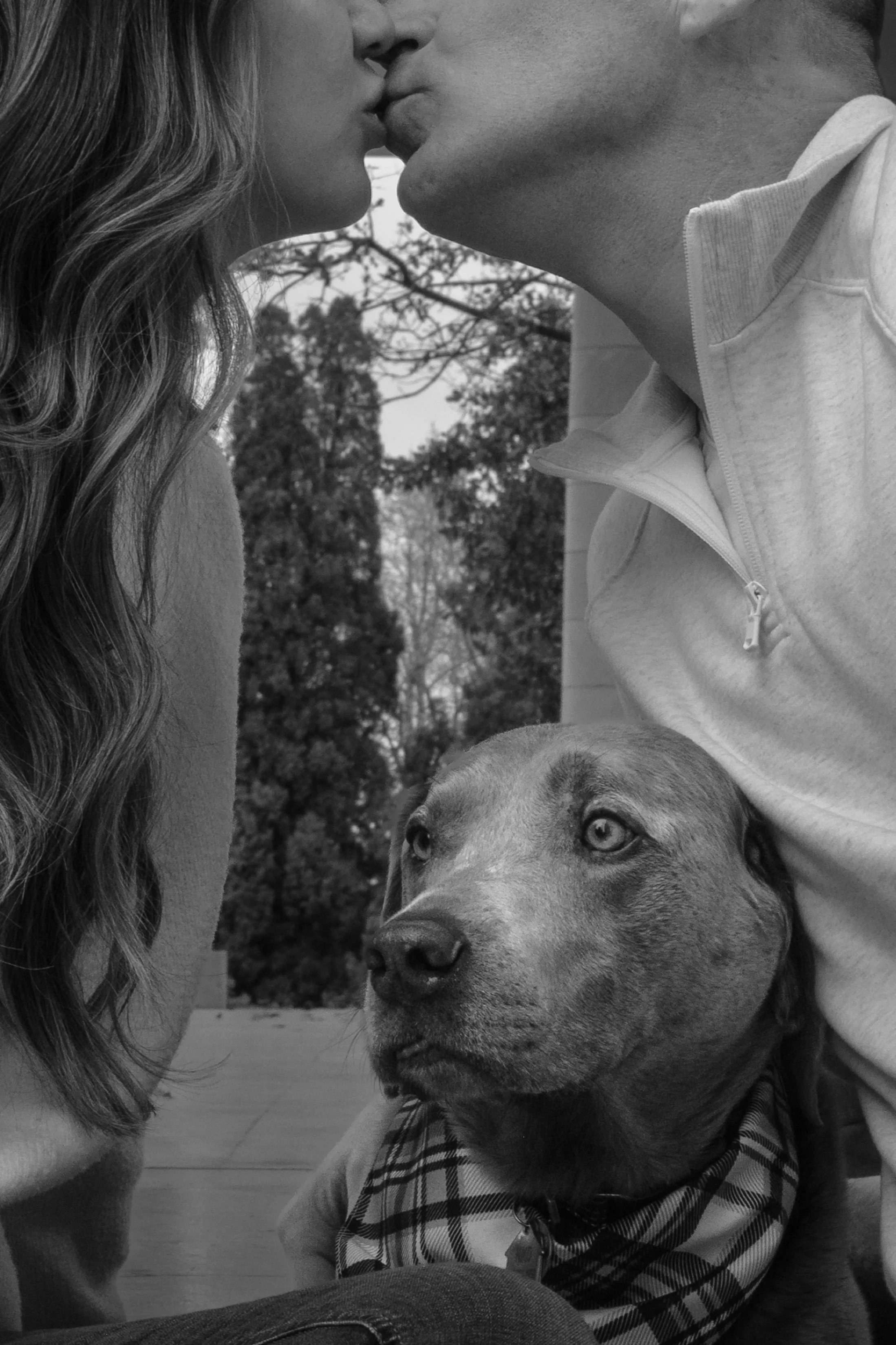 A close-up black and white photo of two people almost kissing, with a dog in the foreground. The woman has long, wavy hair and the man is wearing a zip-up hoodie. The dog, possibly a Labrador Retriever, has light eyes and is wearing a plaid collar, l