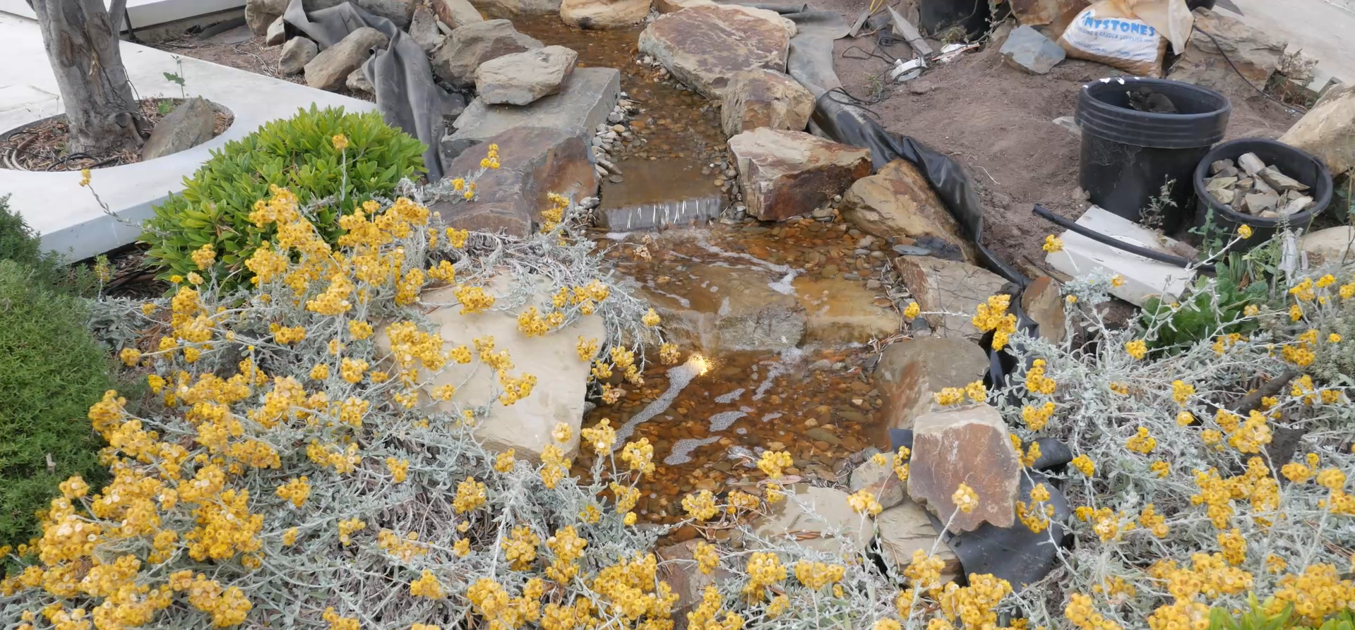A small garden stream with rocks and pebbles, surrounded by yellow flowering plants and greenery, with construction supplies and equipment in the background.