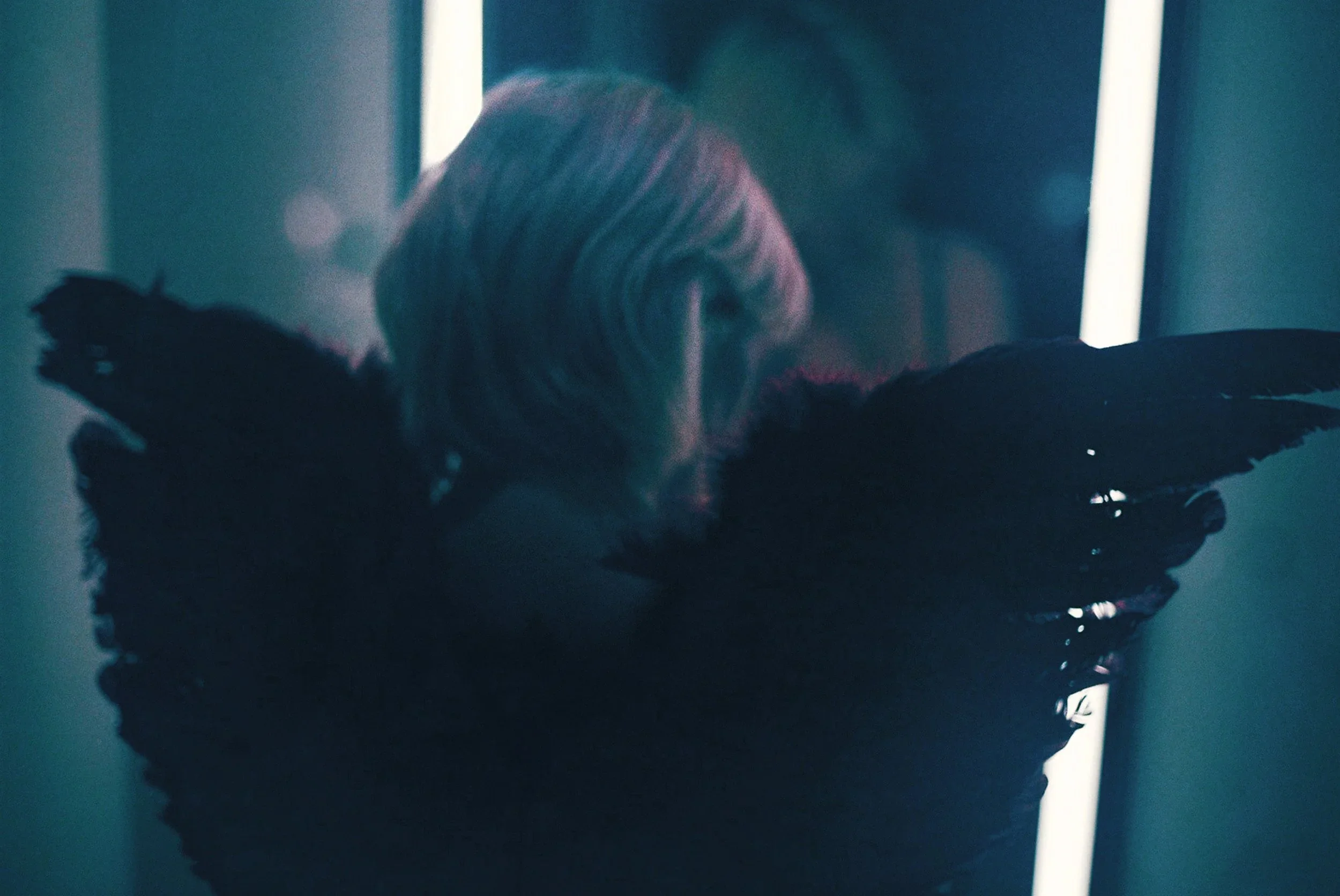 Untitled #3 (Edition of 50)