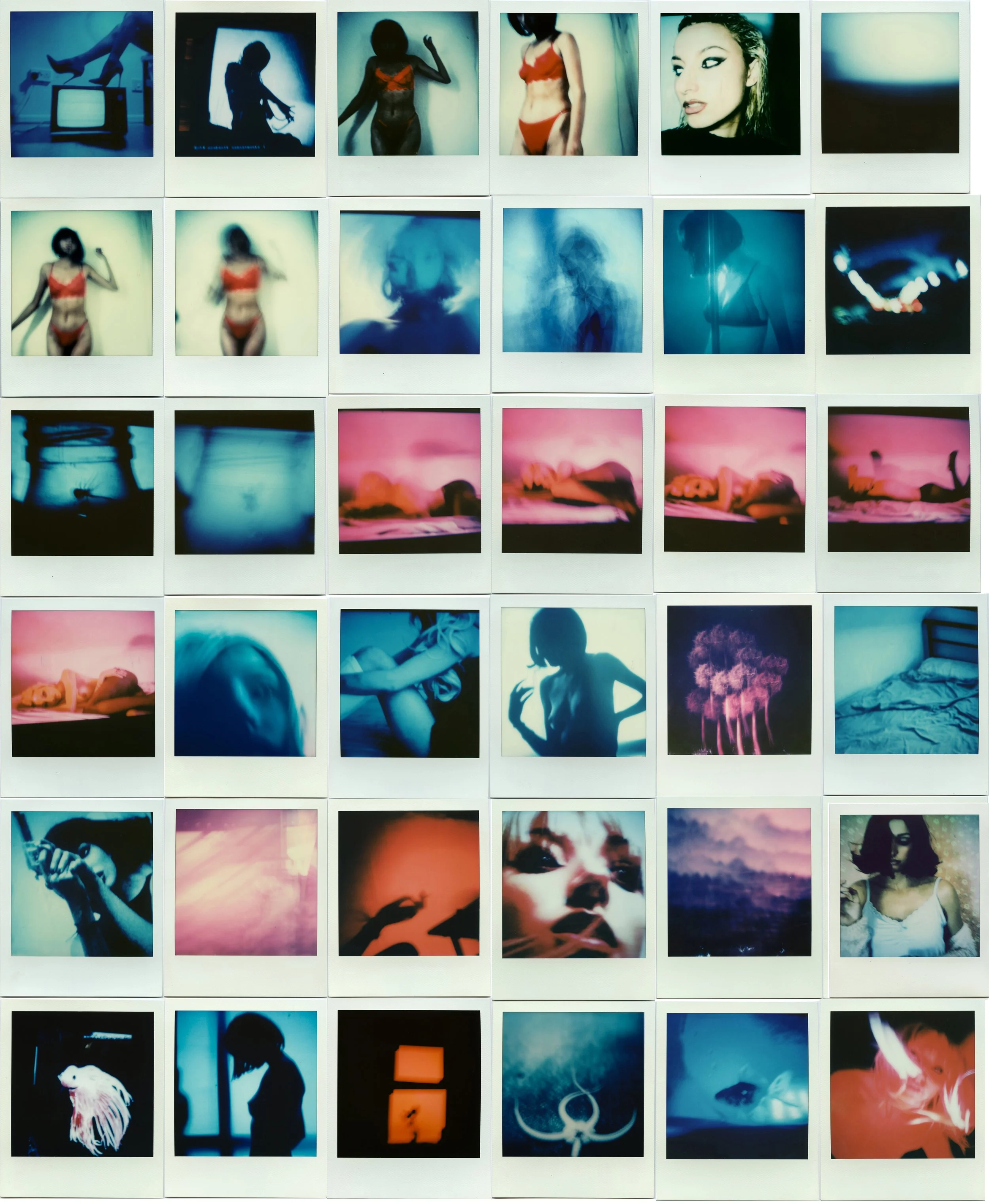 Polaroids.jpg
