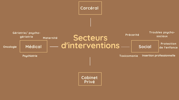 Diagramme montrant différents secteurs d'interventions : médical, social, carcéral, cabinet privé, avec différentes undercategories telles que oncolgie, psychiatrie, maternité, précaire, troubles psycho-sociaux, protection de l'enfance, toxicomanie, insertion professionnelle.
