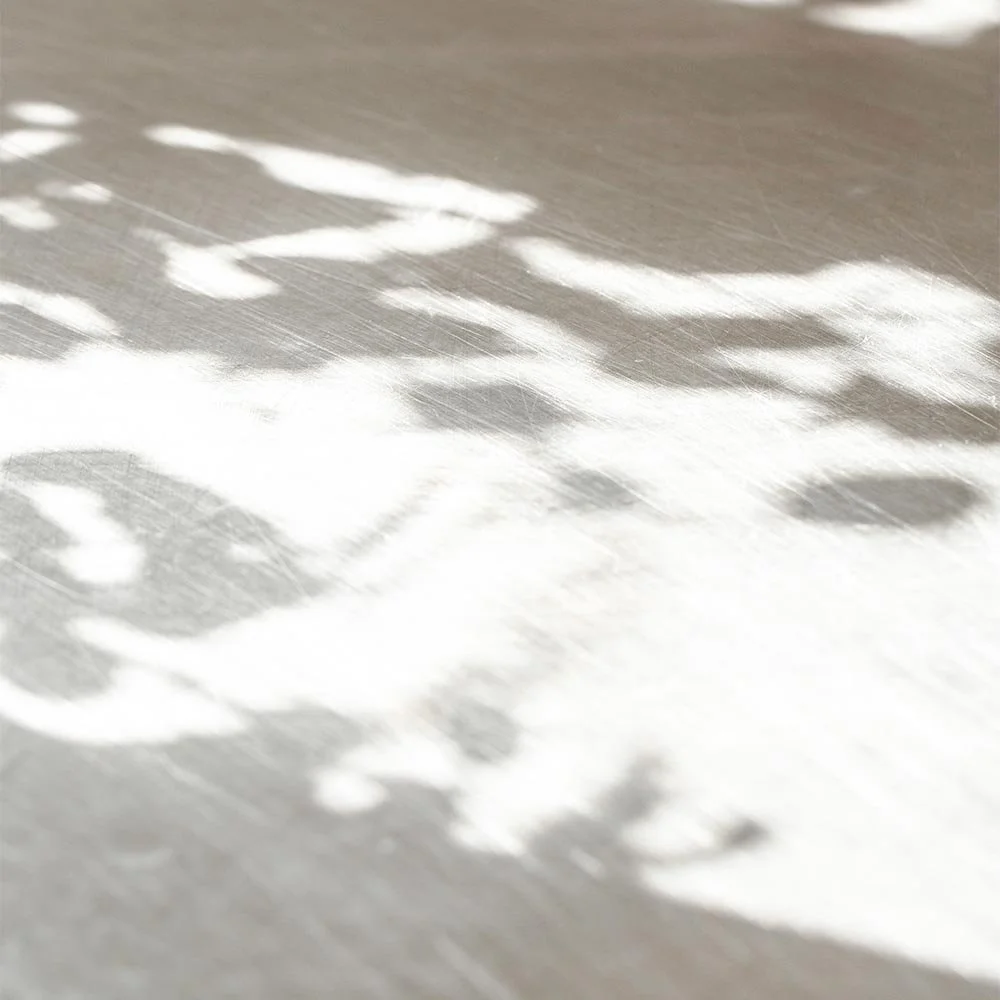 Sunlight casting shadows of leaves on a wooden surface.