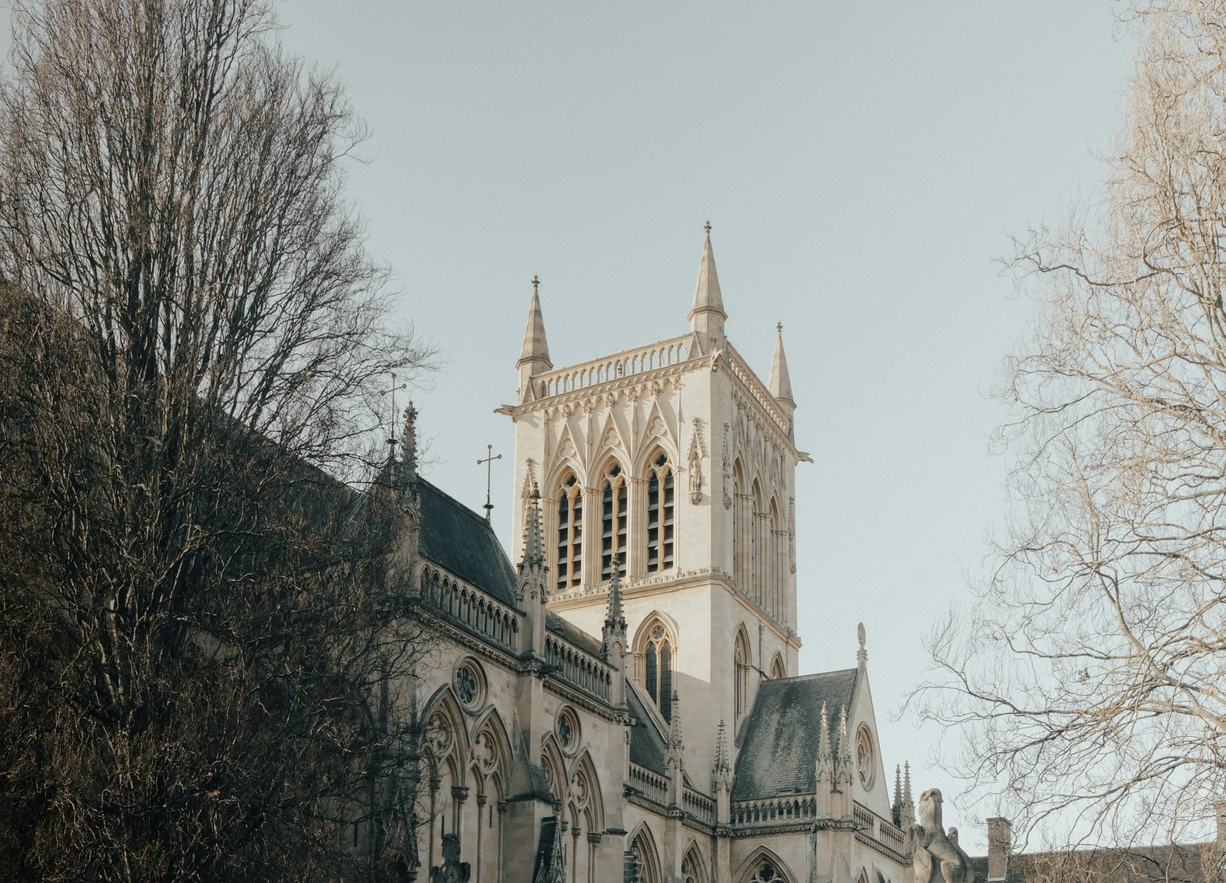 The image shows the upper part of a historic Gothic-style cathedral with pointed spires and ornate stone architecture, surrounded by leafless trees against a pale sky.