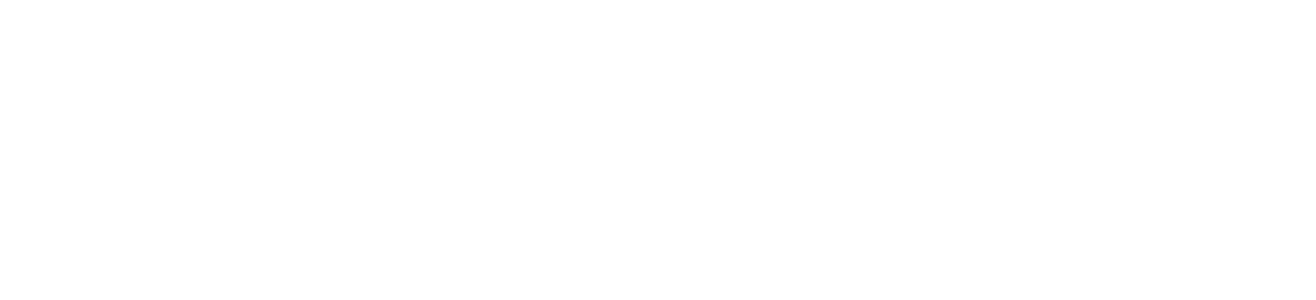 Diagram showing the Bayer Bilder Network with interconnected lines and labels in German and English.
