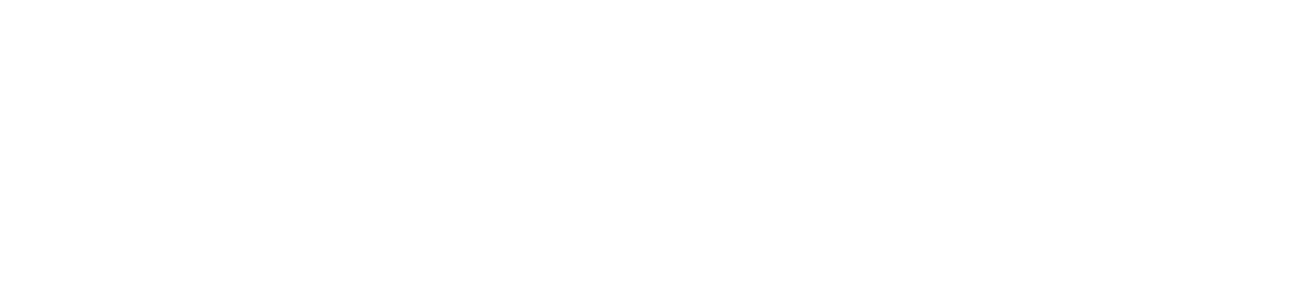Logo for Zooplus, a pet supply retailer, featuring the word 'zooplus' in lowercase with the 'oo' stylized as two paw prints.