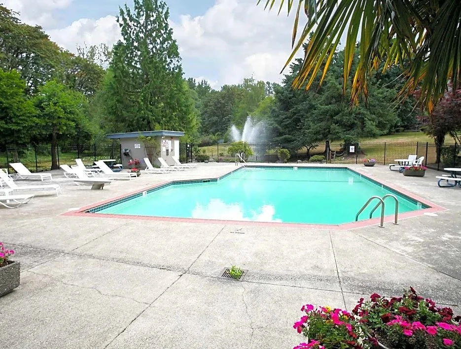 Empty swimming pool surrounded by lounge chairs and greenery with trees and a fountain in the background.