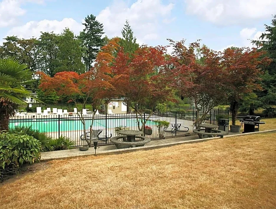 A backyard with a swimming pool, surrounded by a black metal fence, trees with red and green leaves, a concrete table with benches, lounge chairs, a barbecue grill, and a grassy lawn.