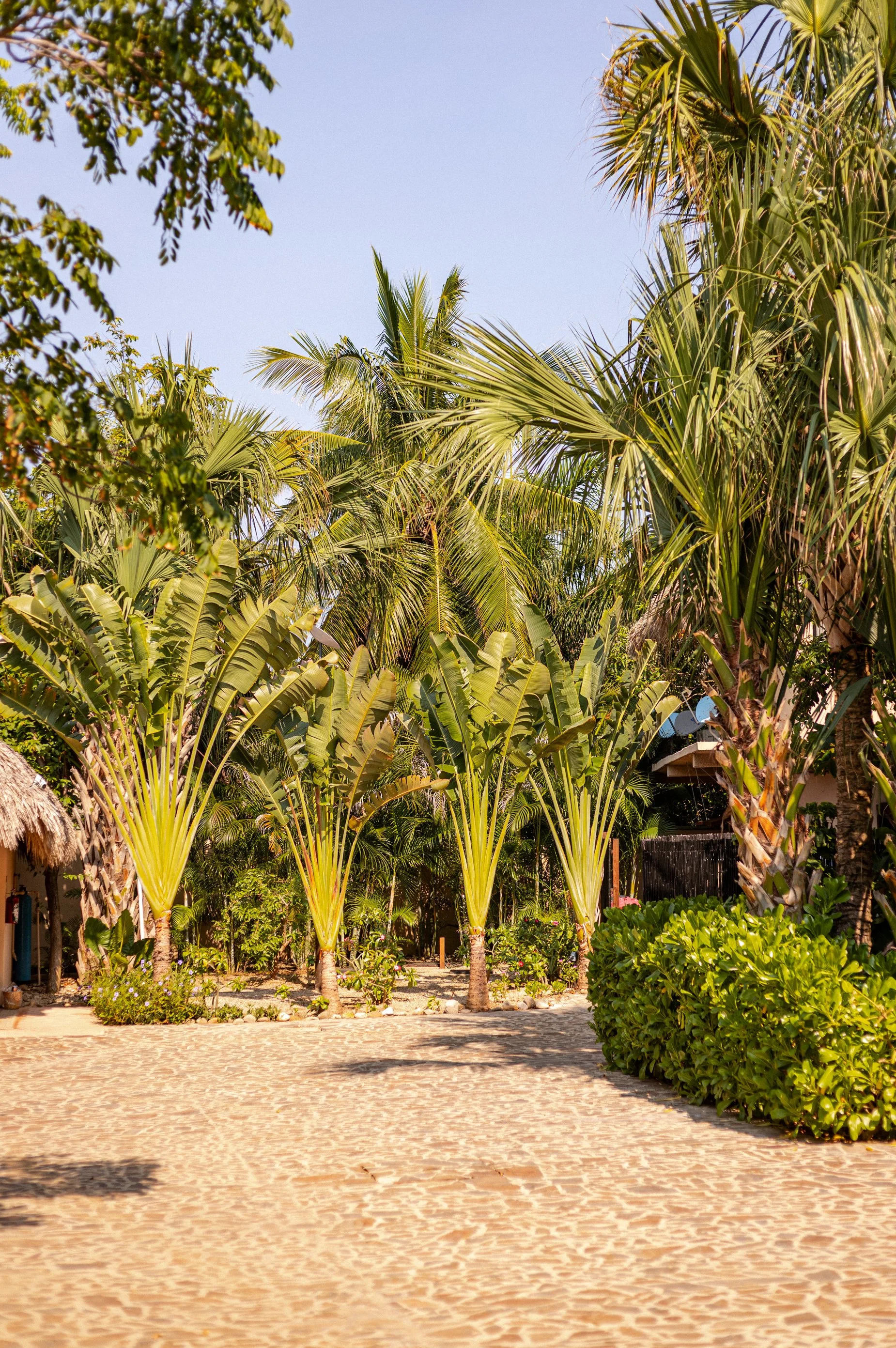 casa lu-23.jpg