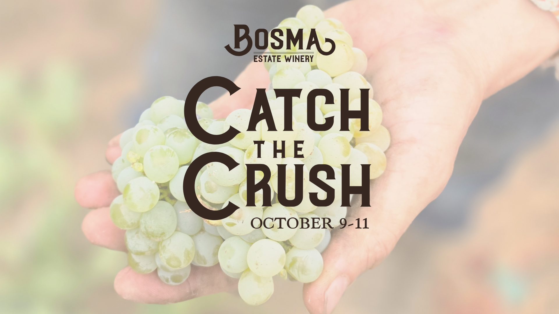Catch the Crush Weekend at Bosma Estate Winery