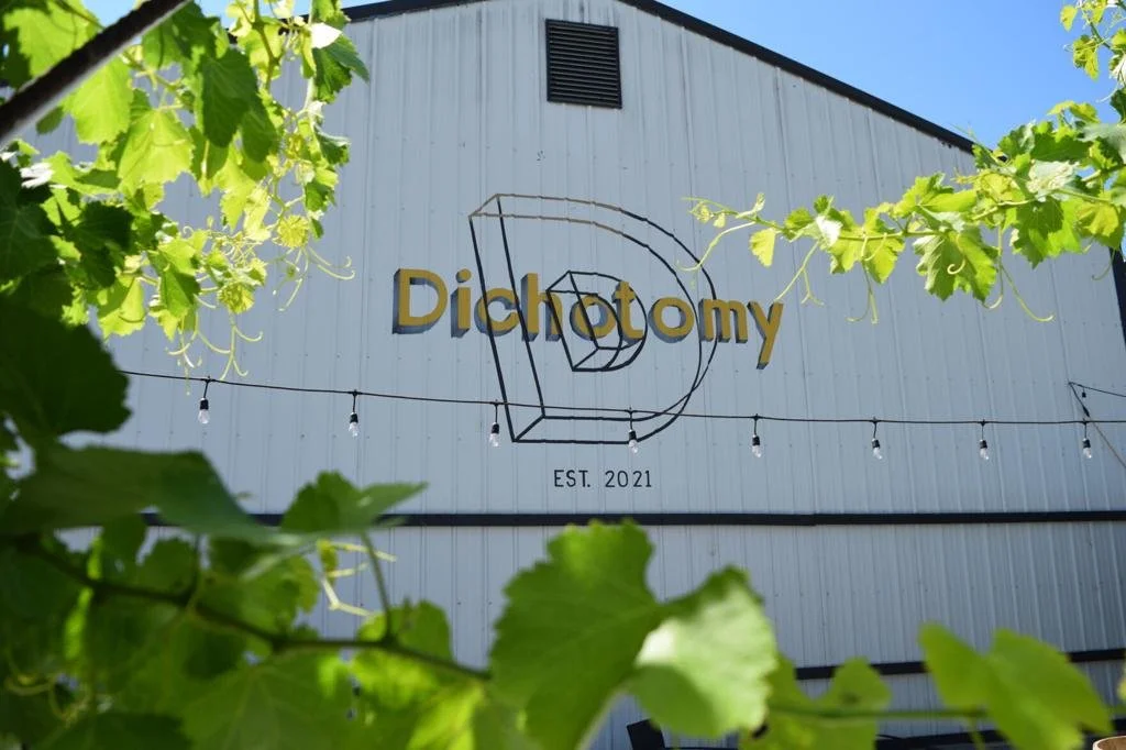 The side of a white building with the word "Dicktomy" in yellow letters, a geometric logo, string lights, and green foliage in the foreground, with a blue sky above.