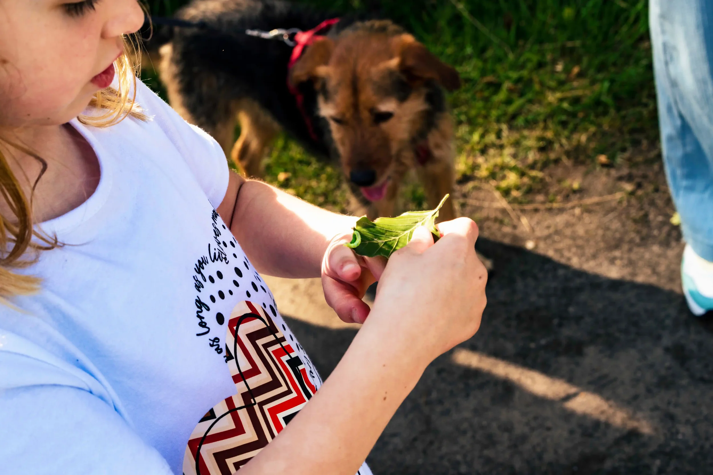 Een kind vouwt een groot groen blad met een patroon in de buitenlucht, met een bruine en zwarte hond op de achtergrond.