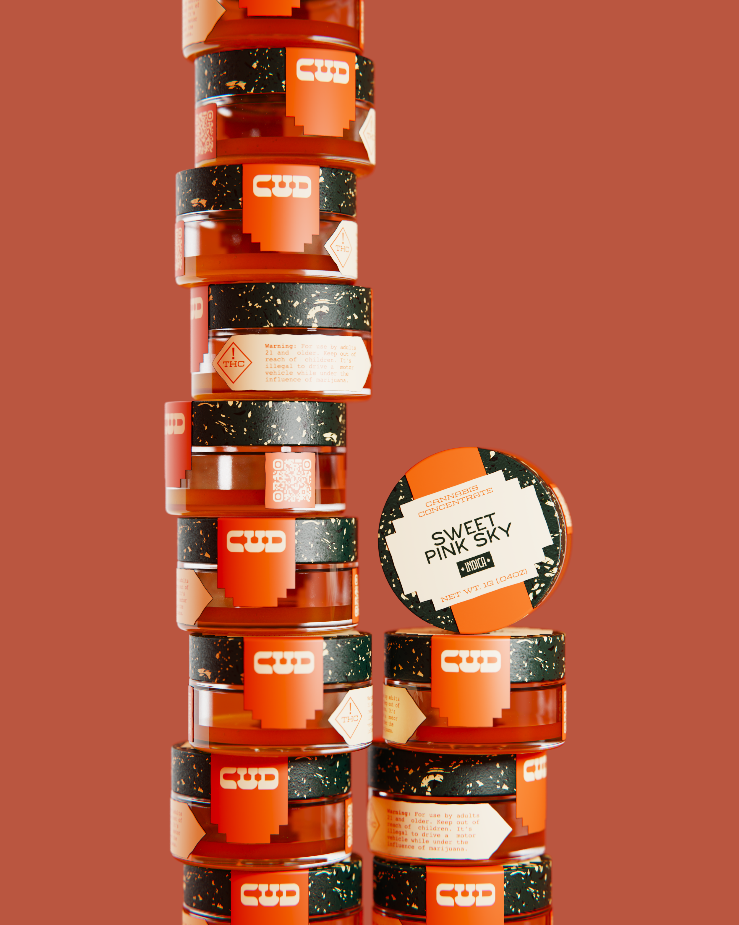 render.bip.1117.png