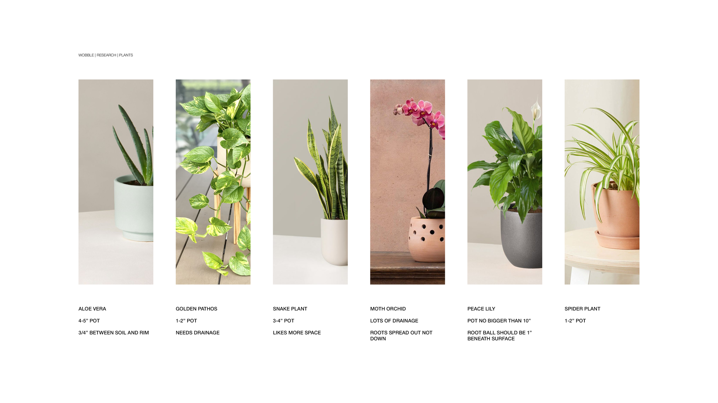 Wobble Presentation5.png