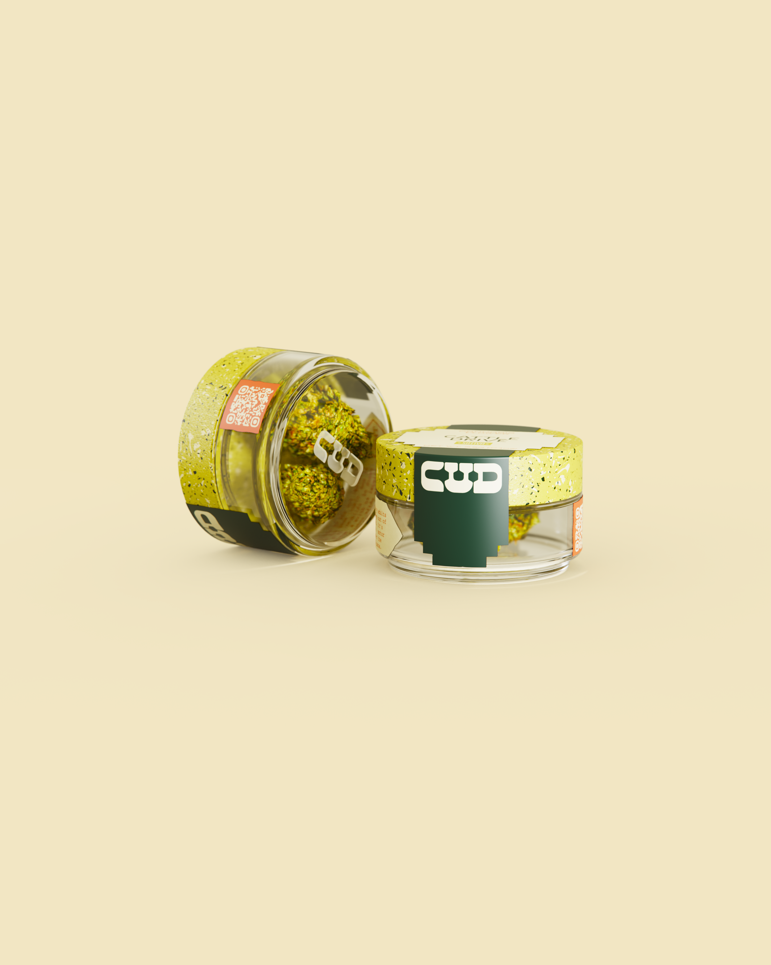 render.bip.1121.png