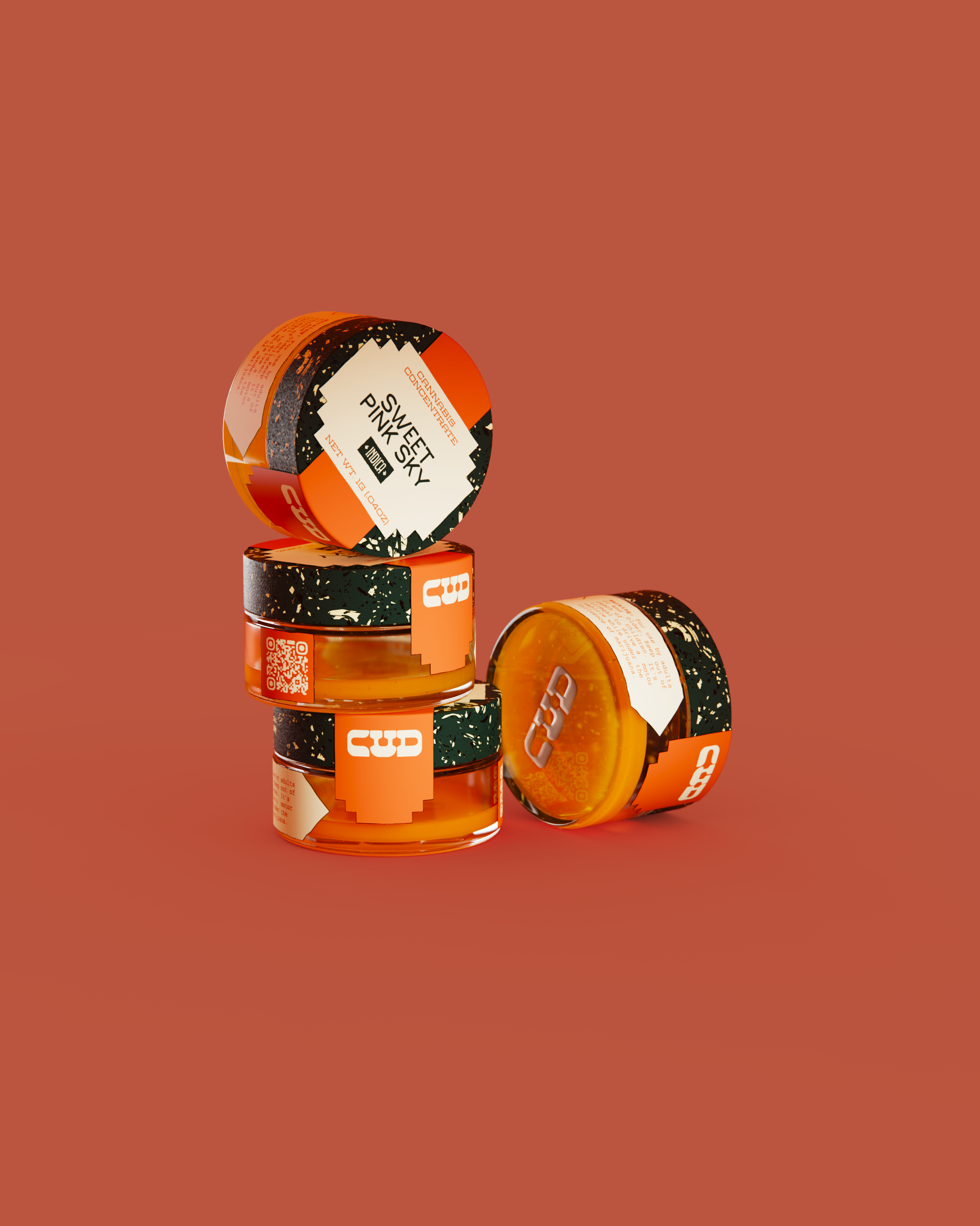 render.bip.1115.png