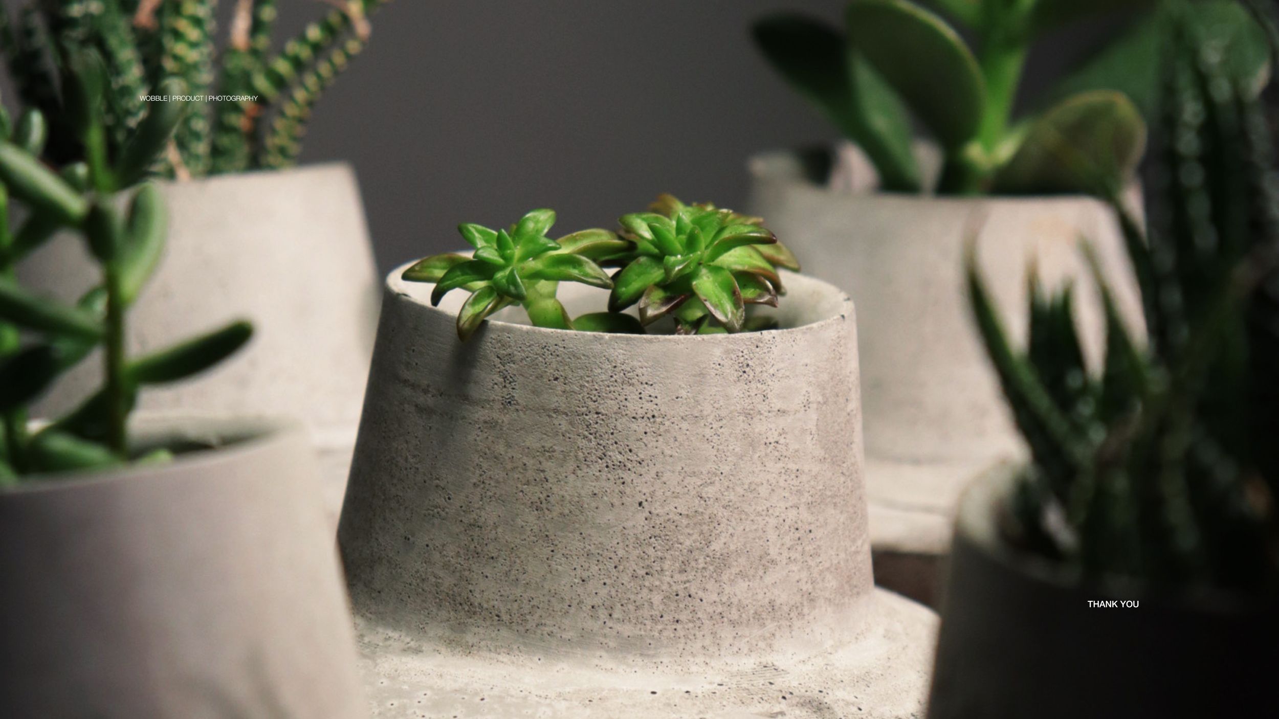 Wobble Presentation17.png