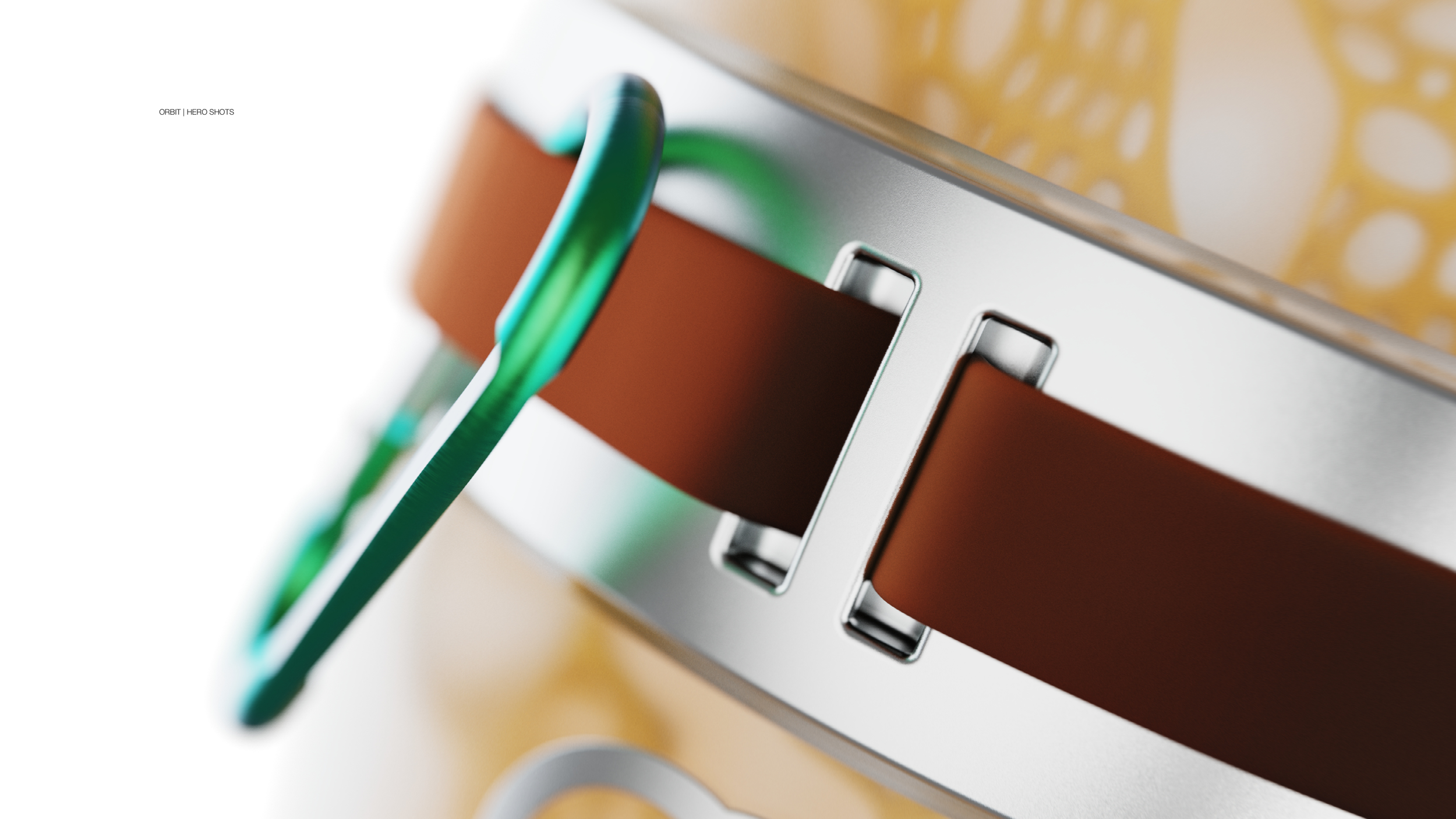 Orbit Presentation2.png