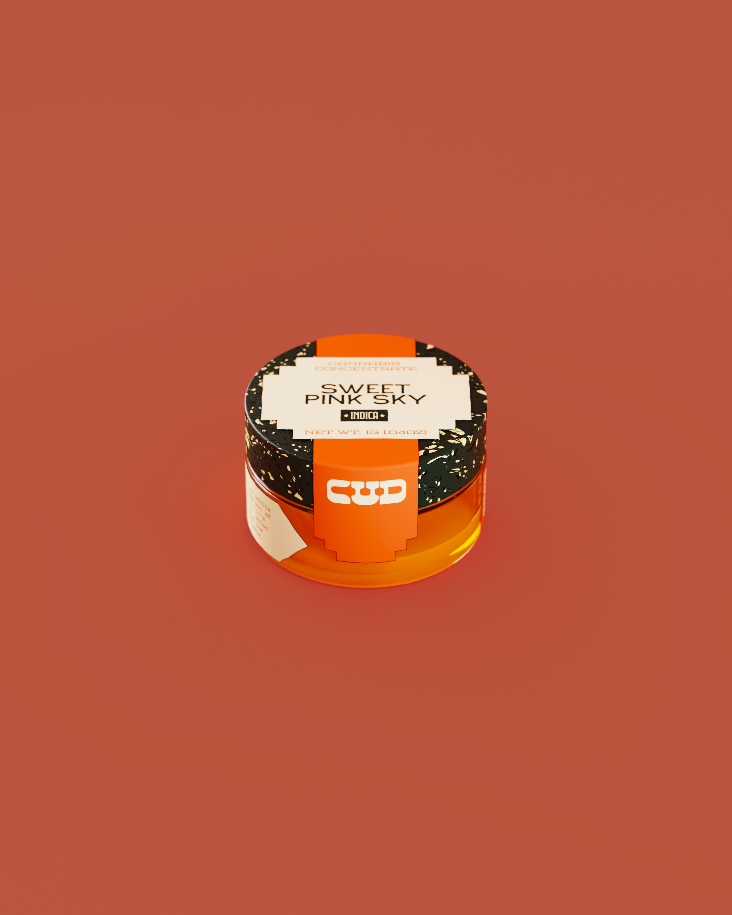 render.bip.1116.png