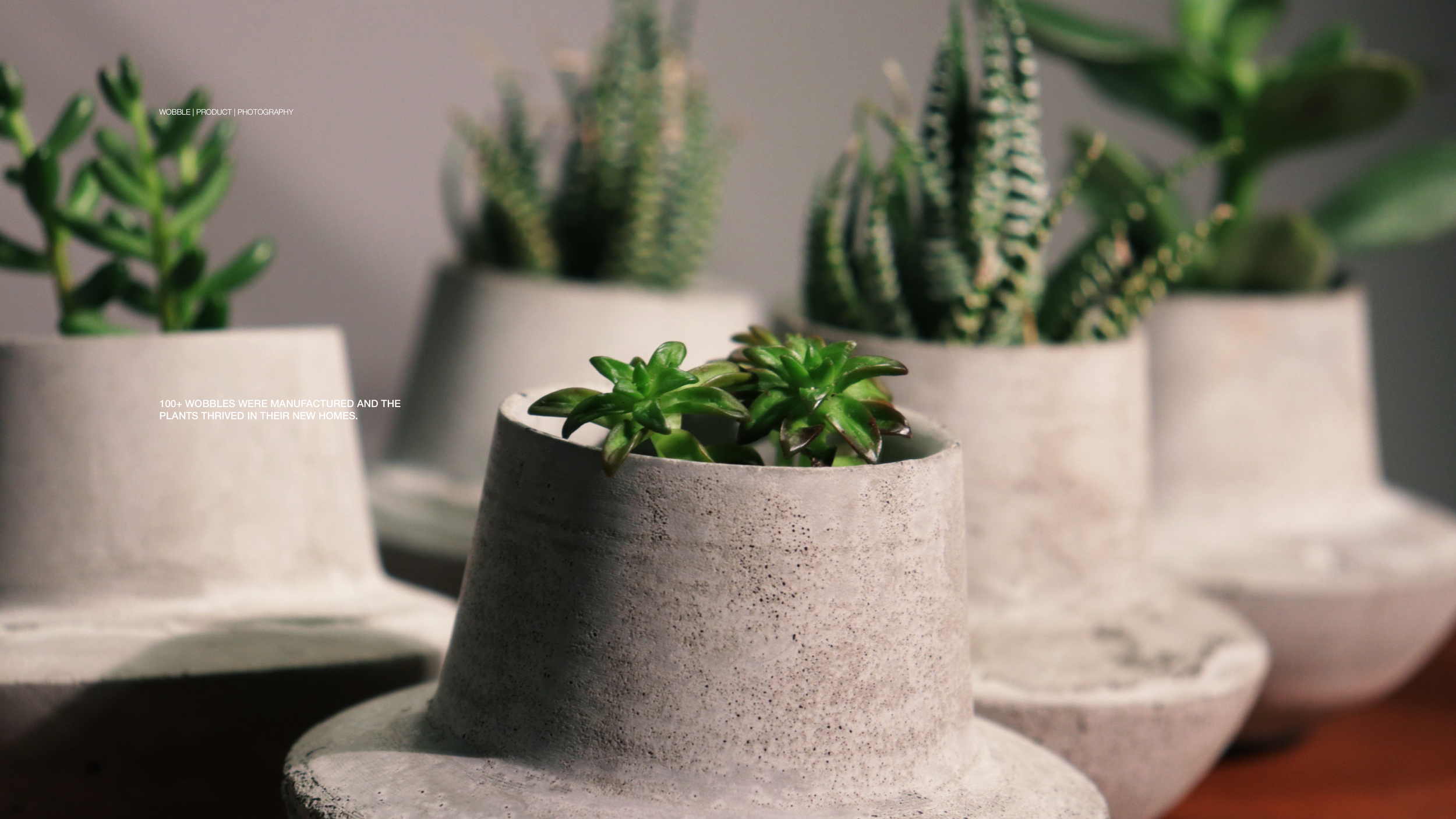 Wobble Presentation14.png