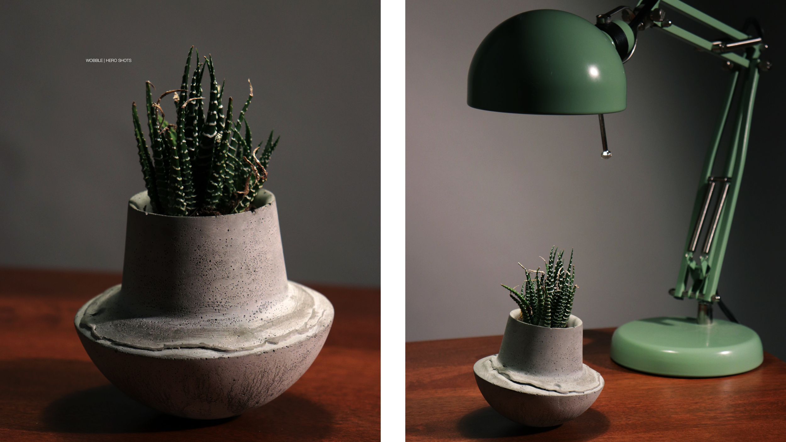 Wobble Presentation2.png